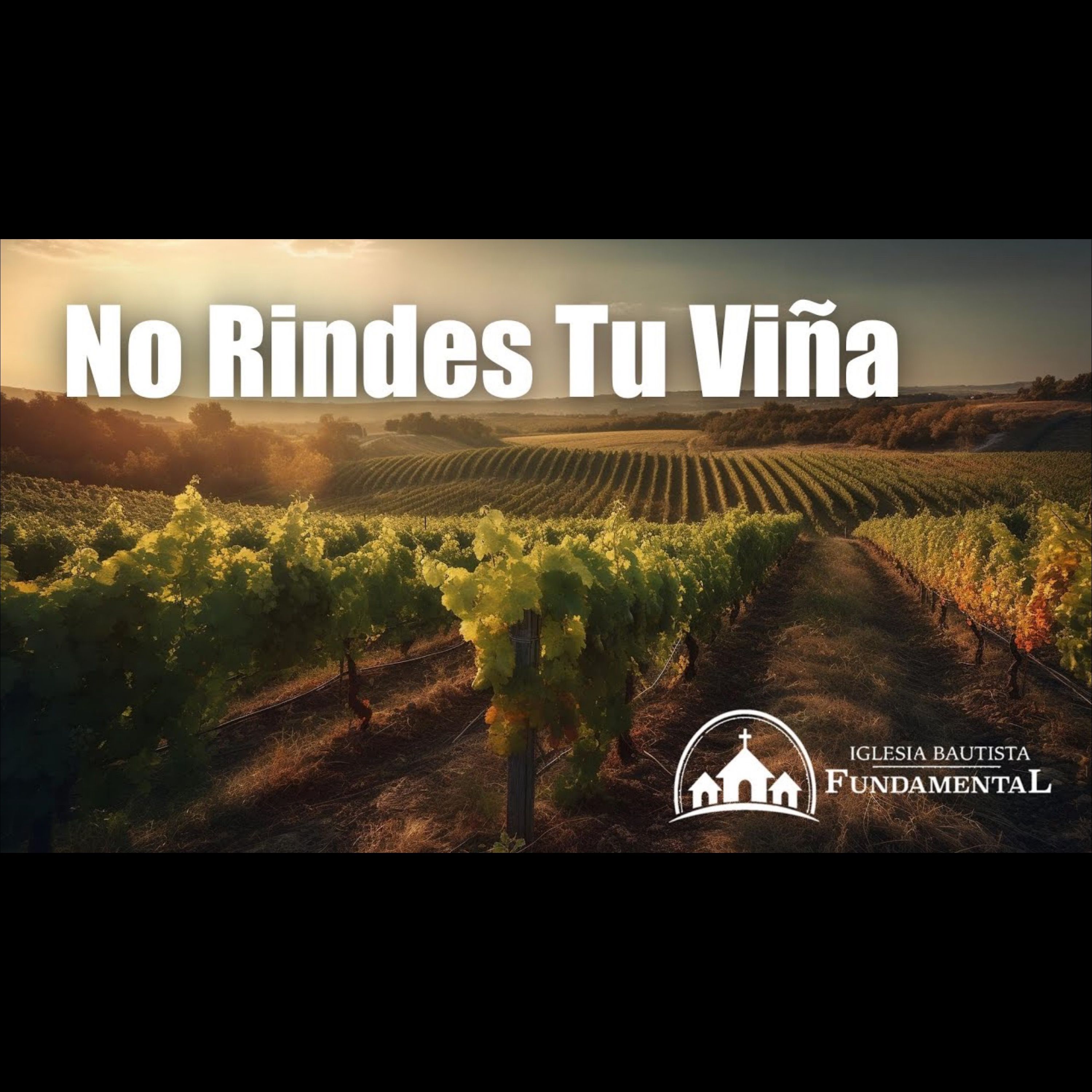 No Rindes Tu Viña: Hno. Joe Moreno - miércoles 2/7/24 episode artwork