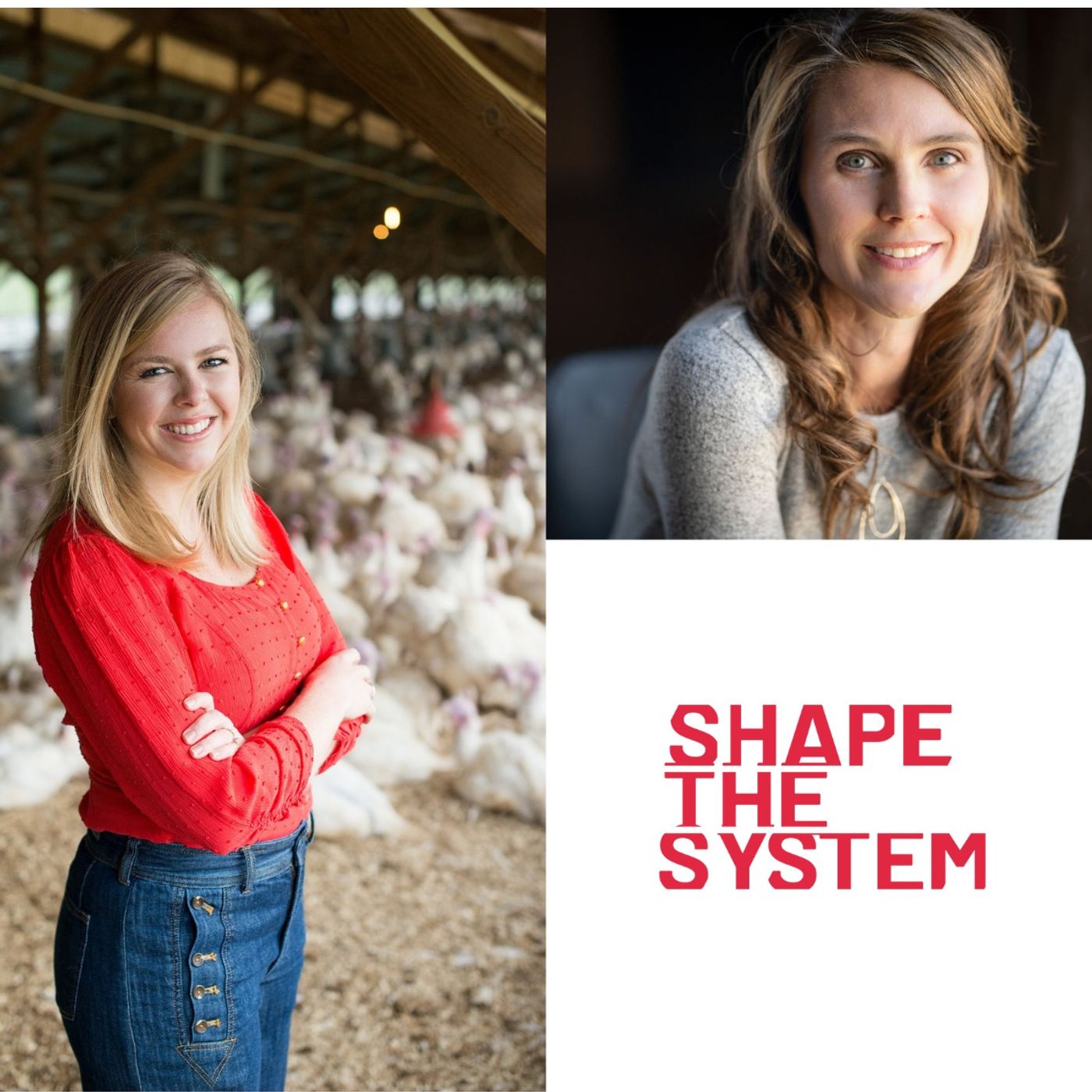 Shape the System