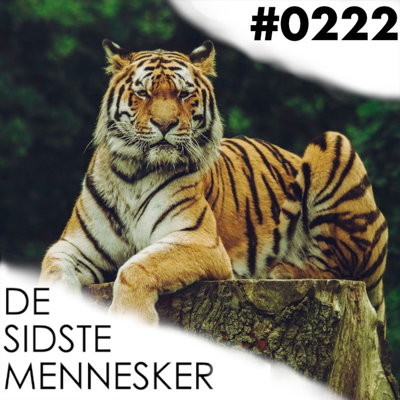 De Sidste Mennesker