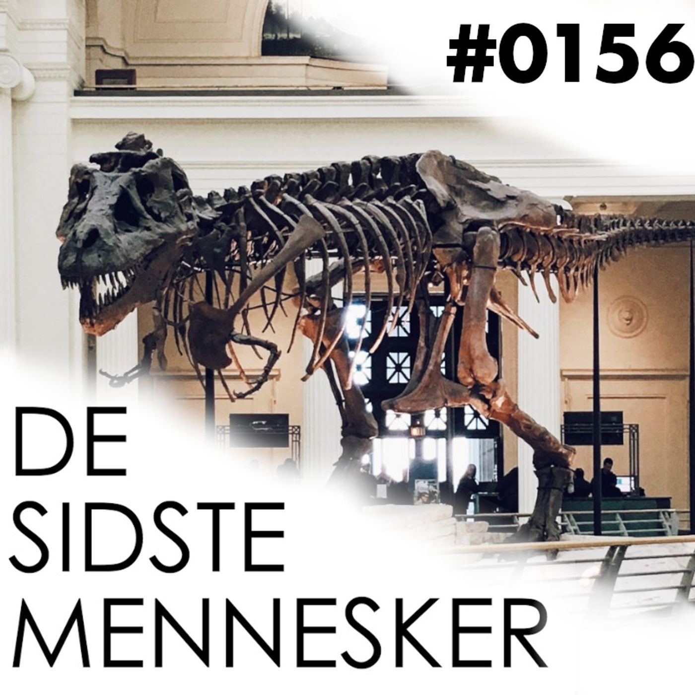 #0156: DSM x Kultur for fattigrøve: DnD, dejlige museer og dodgy fan fiction episode artwork
