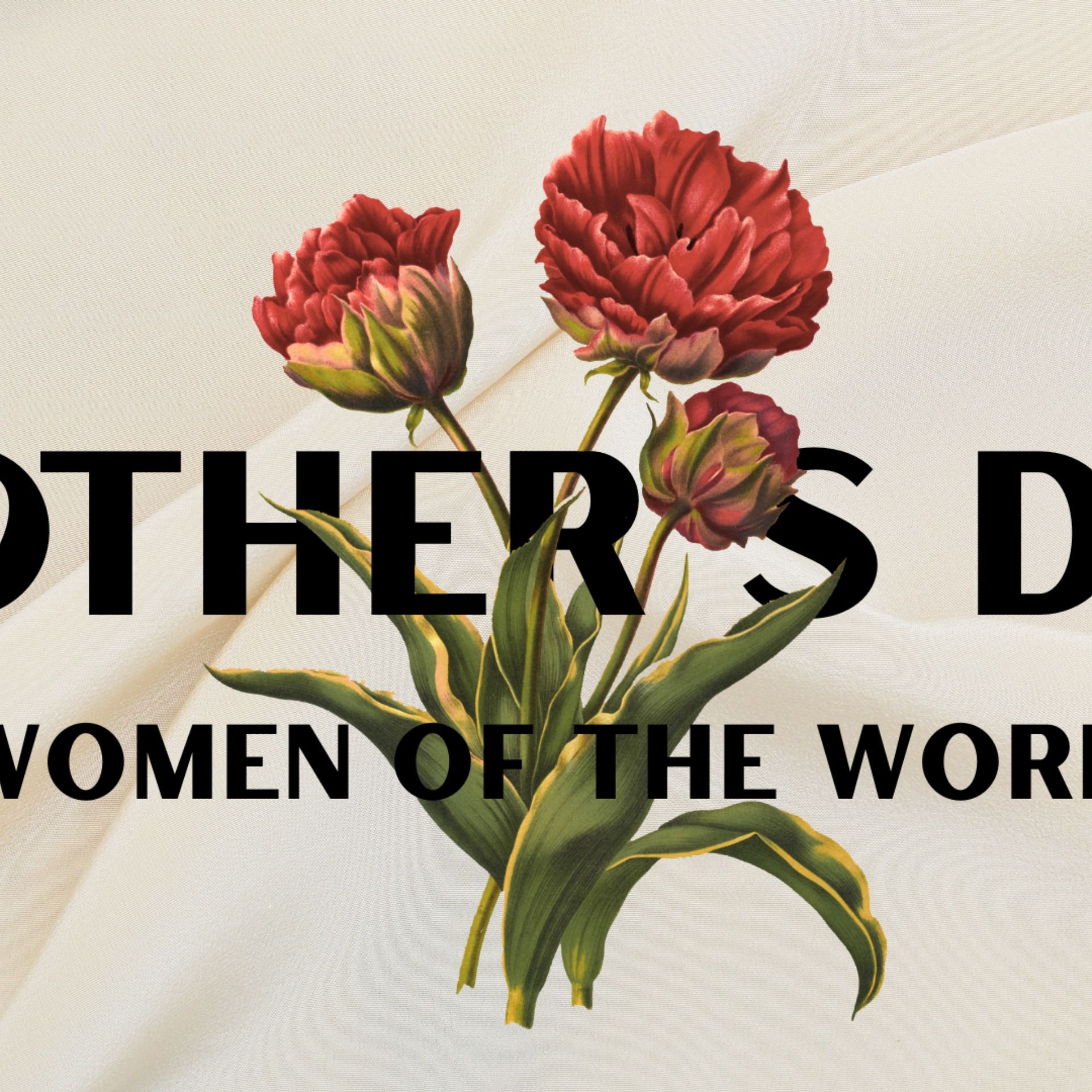 A Mother's Legacy - 2 Timothy 1:5; 3:14-17 - 2025-05-11