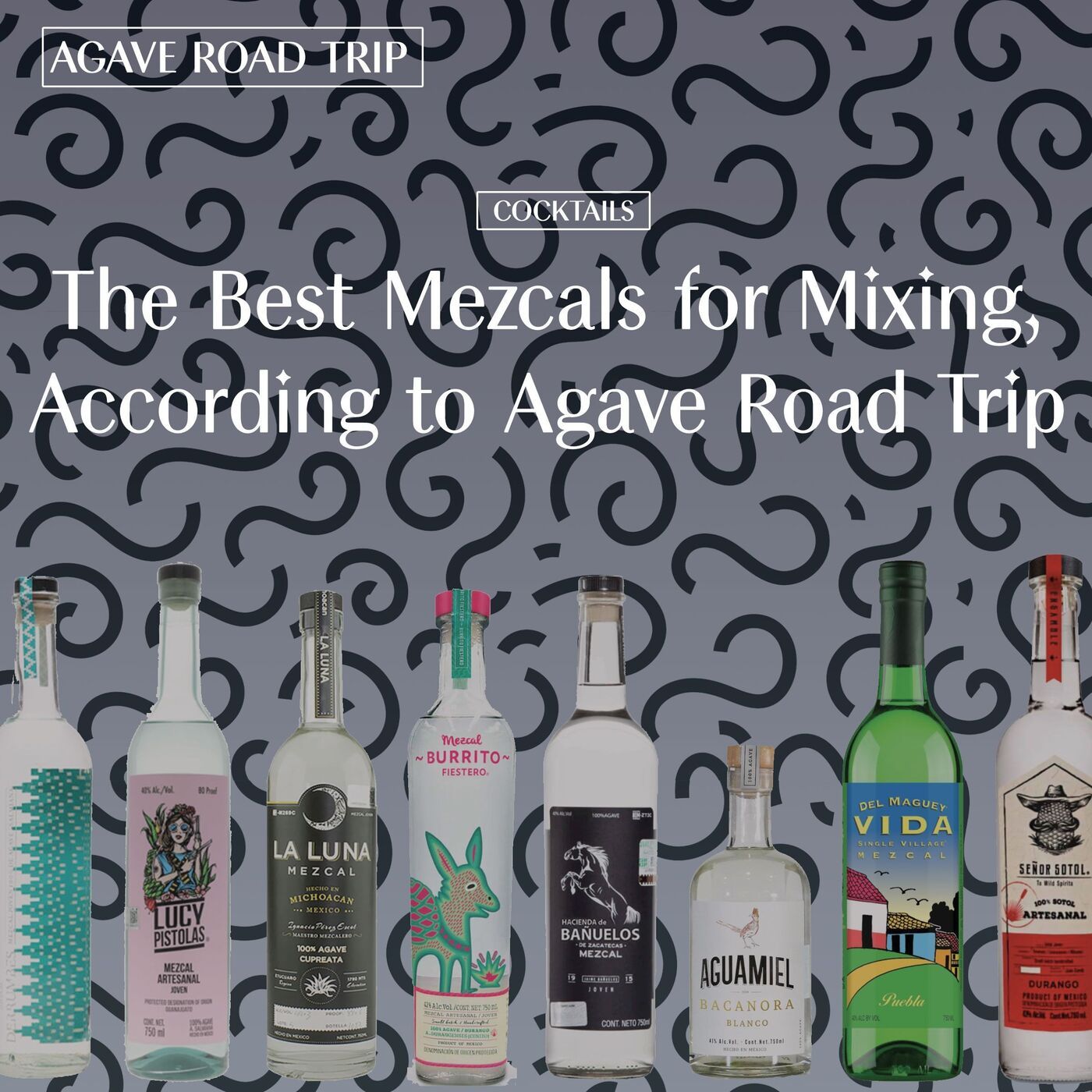 The Best Mezcals for Mixing, According to Agave Road Trip