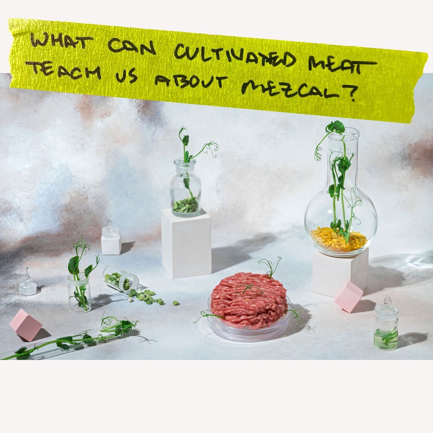 What Can Cultivated Meat Teach Us About Mezcal?