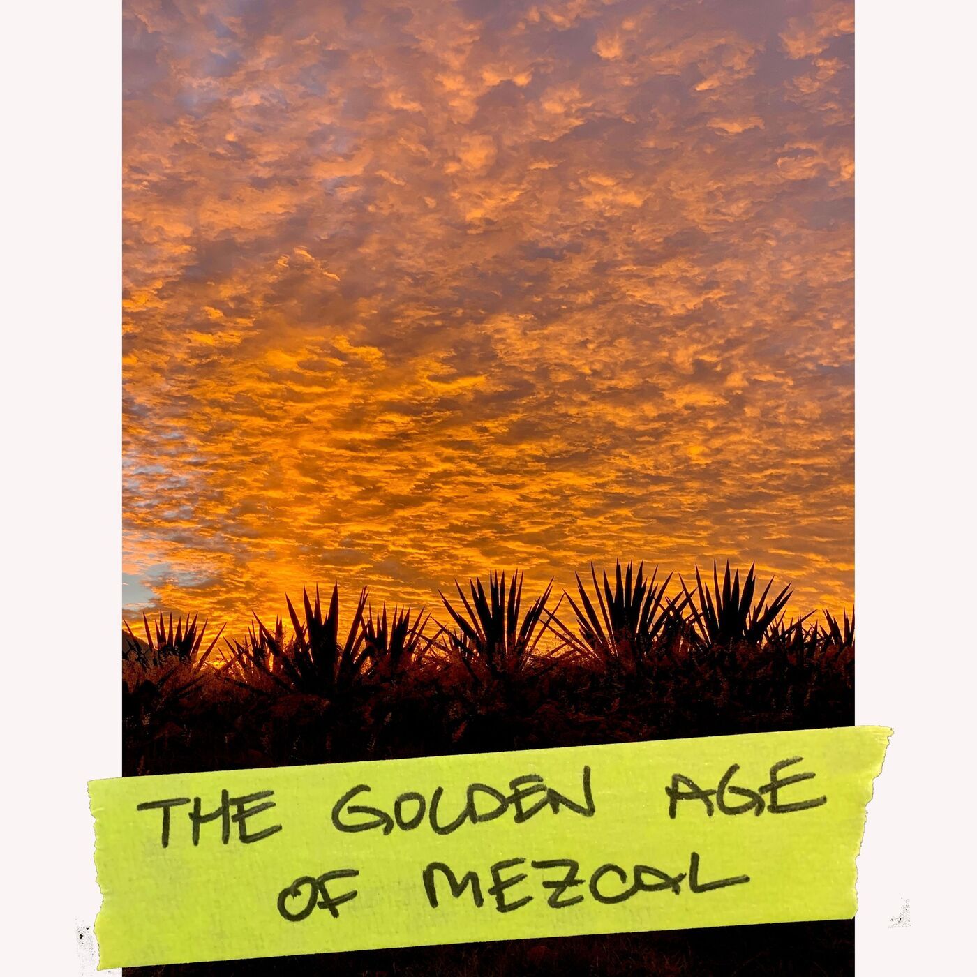 The Golden Age of Mezcal