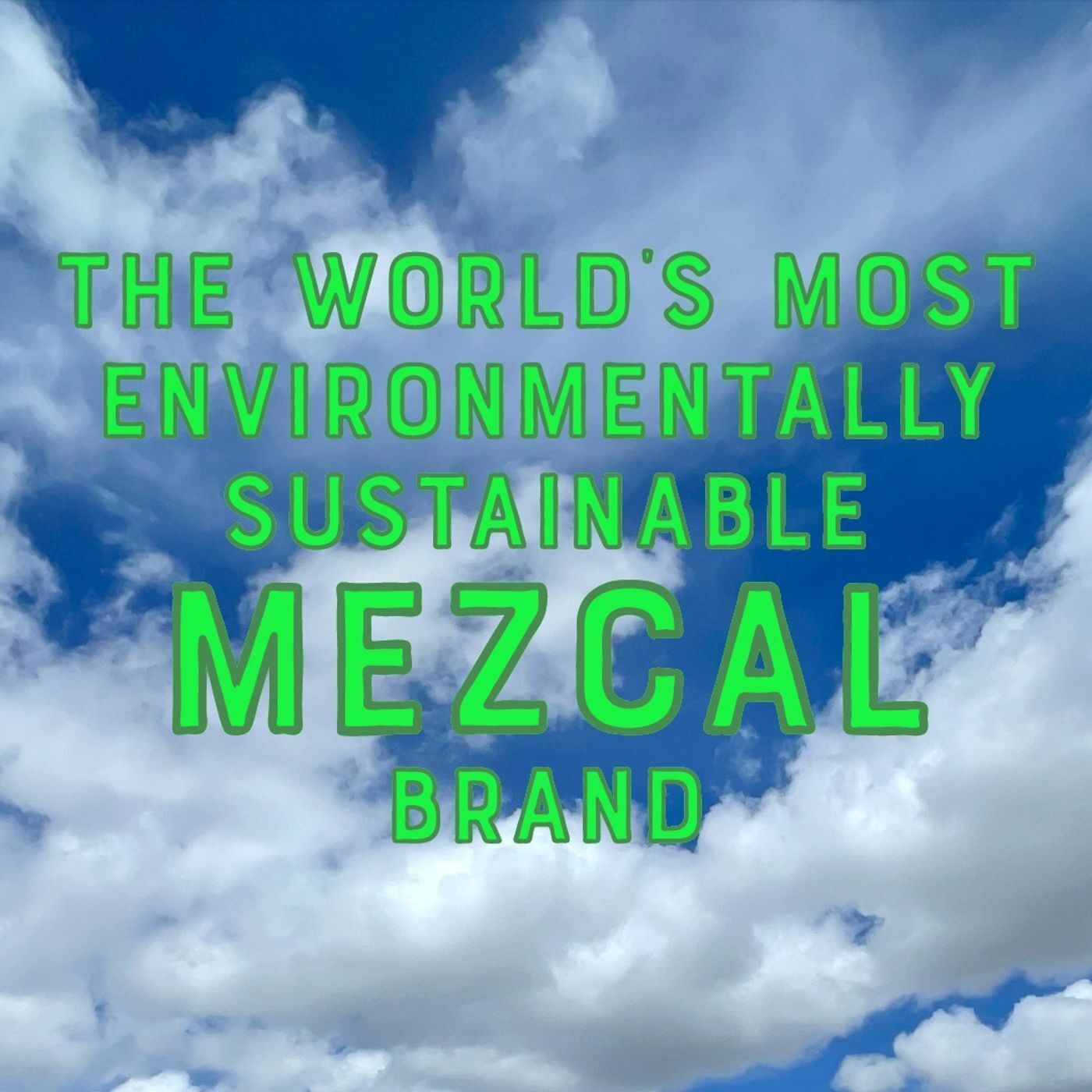 The World’s Most Environmentally Sustainable Mezcal Brand