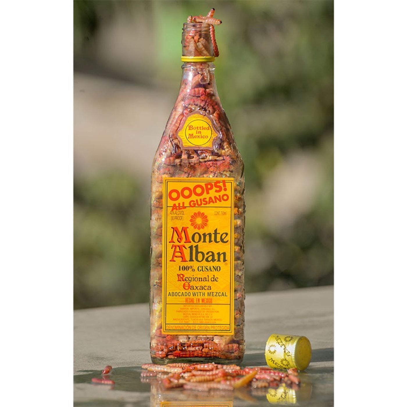 To Monte Alban Mezcal, with Love