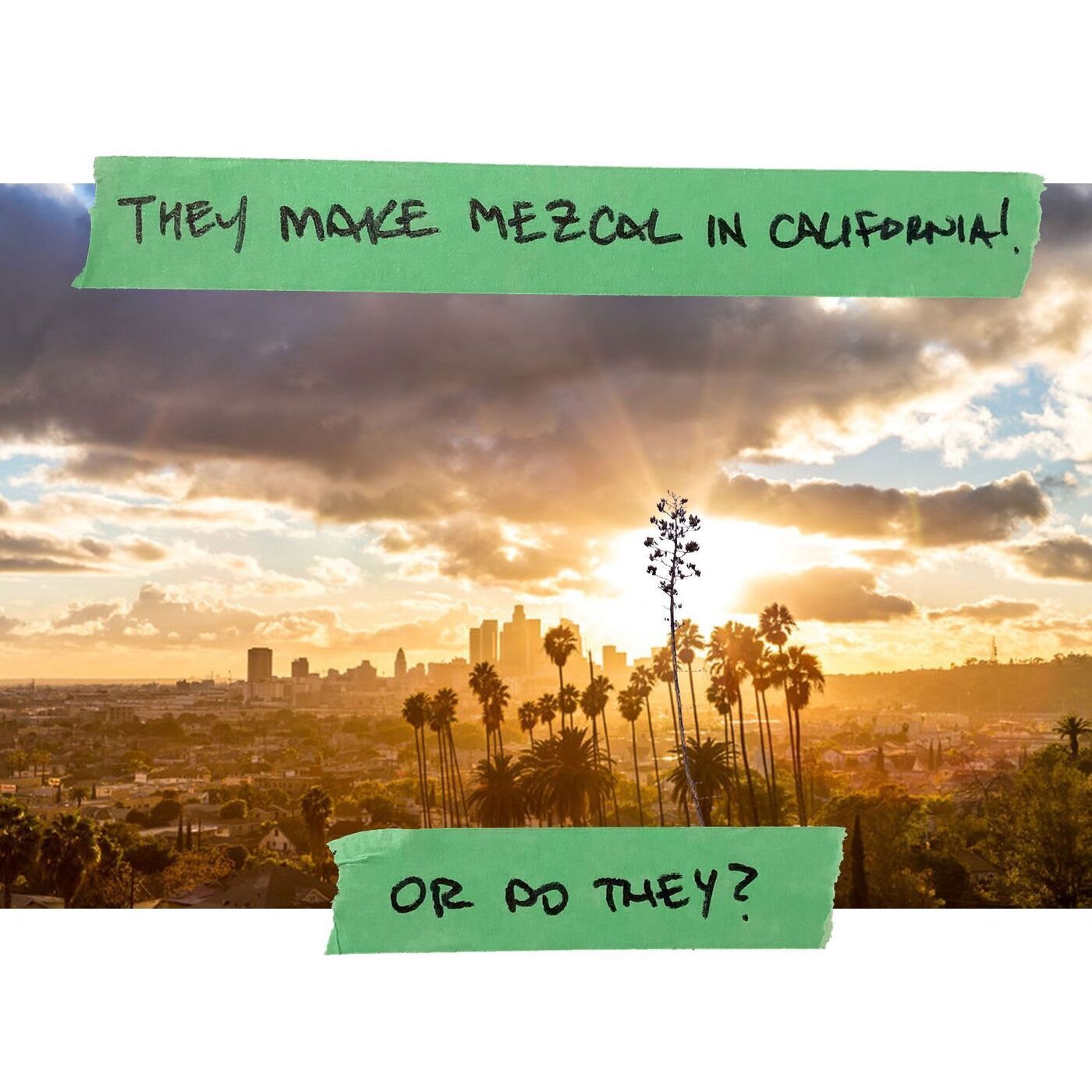 They Make Mezcal in California! Or Do They?