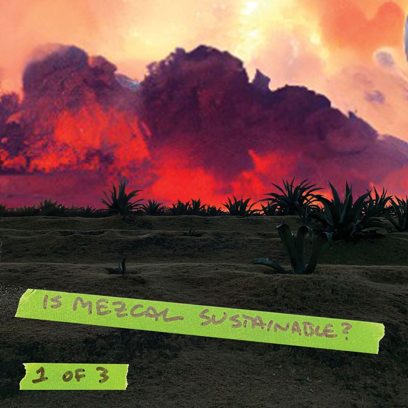 Is Mezcal Sustainable? (Sustainability Miniseries, Part 1 of 3)