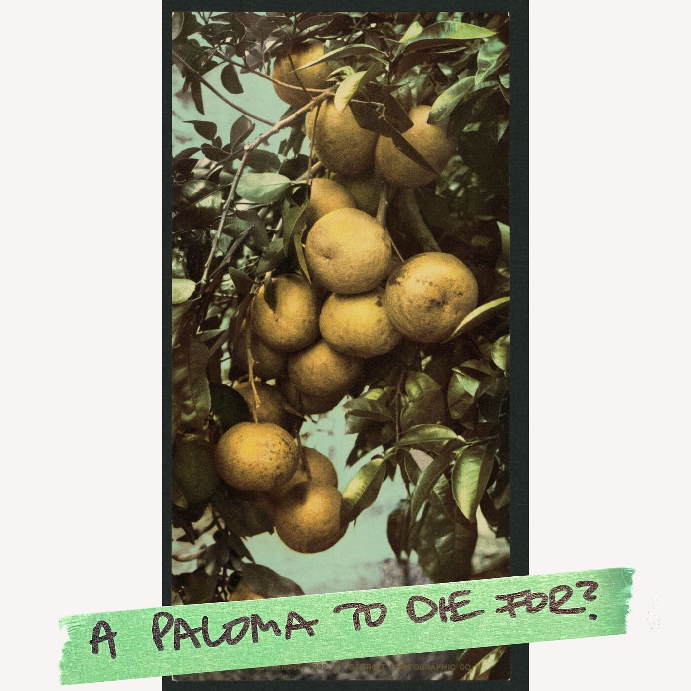 A Paloma to Die For? A “Cocktail MD” Special