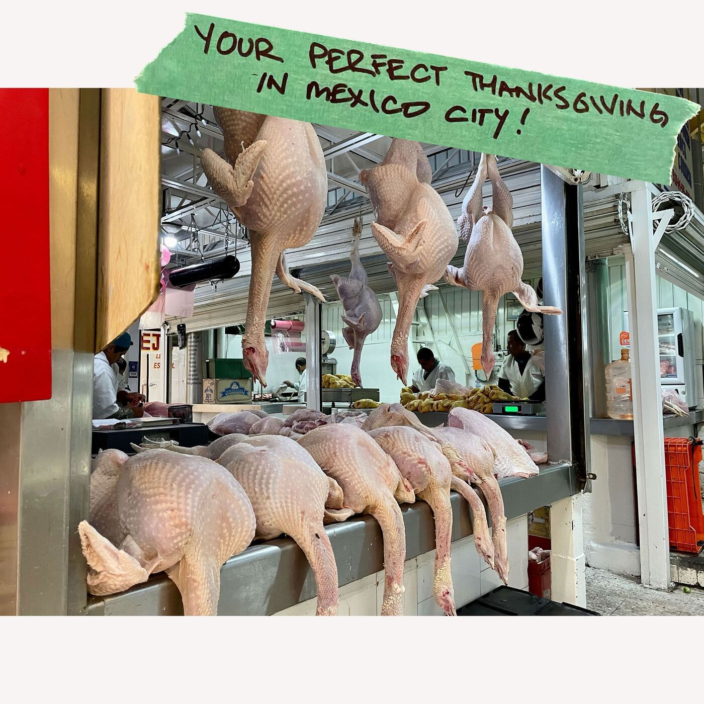 Your Perfect Thanksgiving in Mexico City!