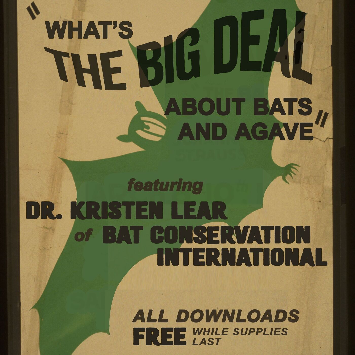 What’s the Big Deal about Bats and Agave?