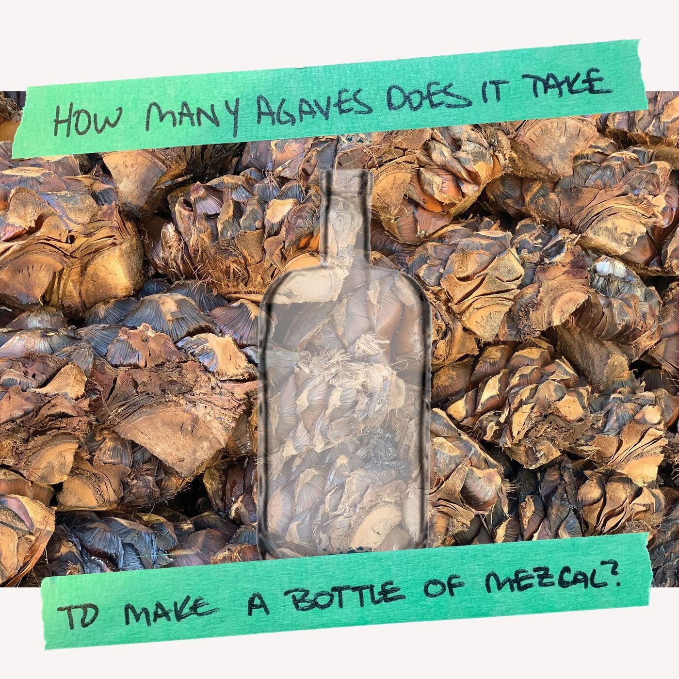 How Many Agaves Does it Take to Make a Bottle of Mezcal?