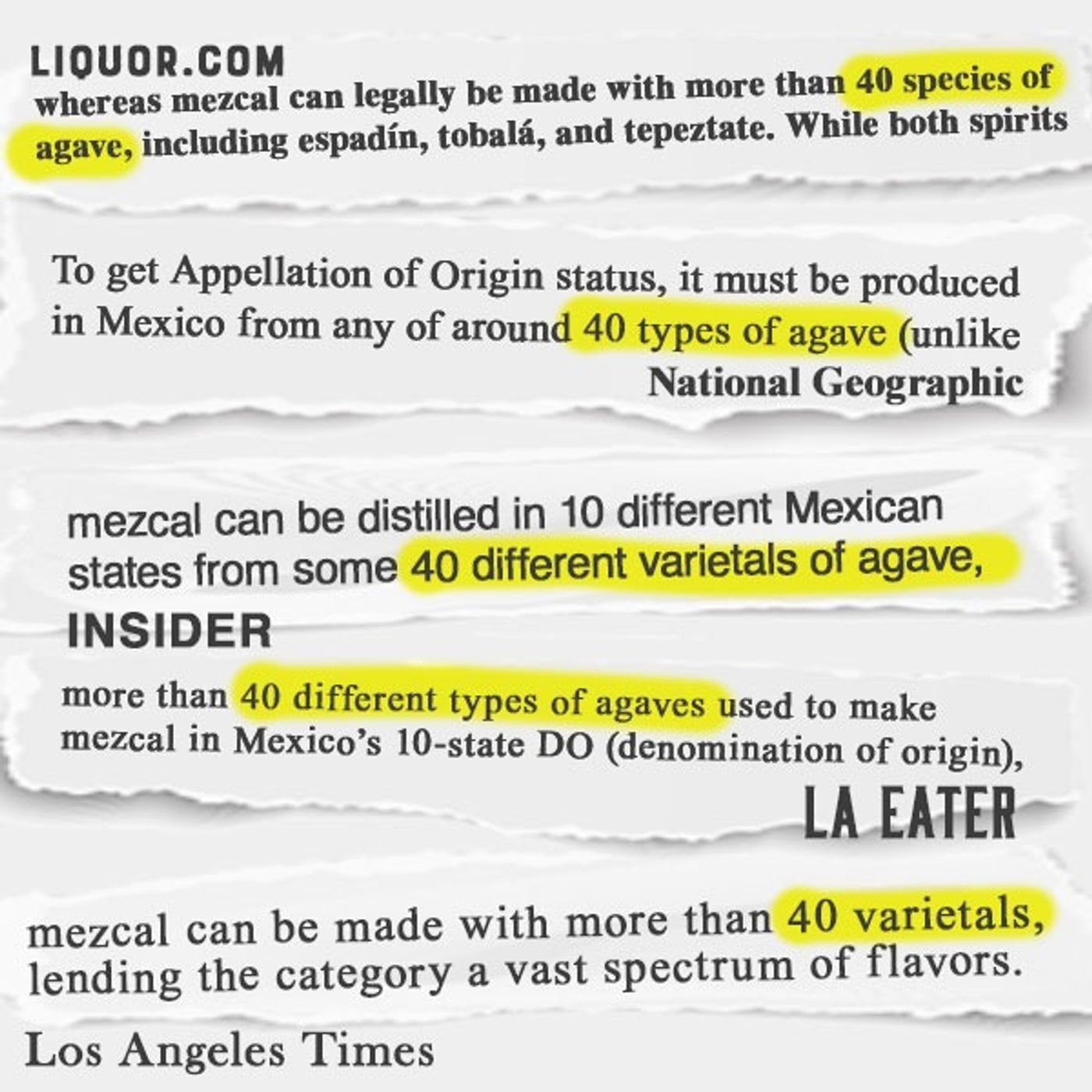 Mezcal Can Be Made From (A Lot) More Than 40 Kinds of Agave