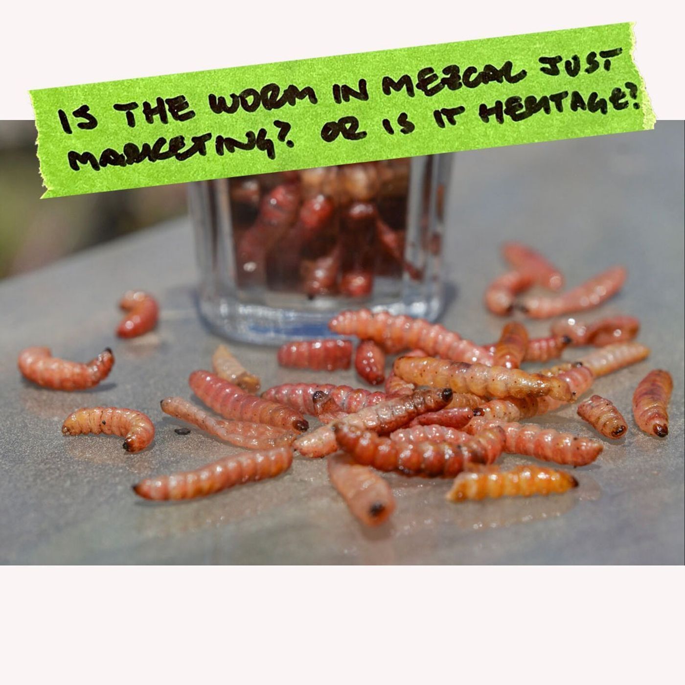 Is the Mezcal Worm Cultural Heritage or Crass Marketing?