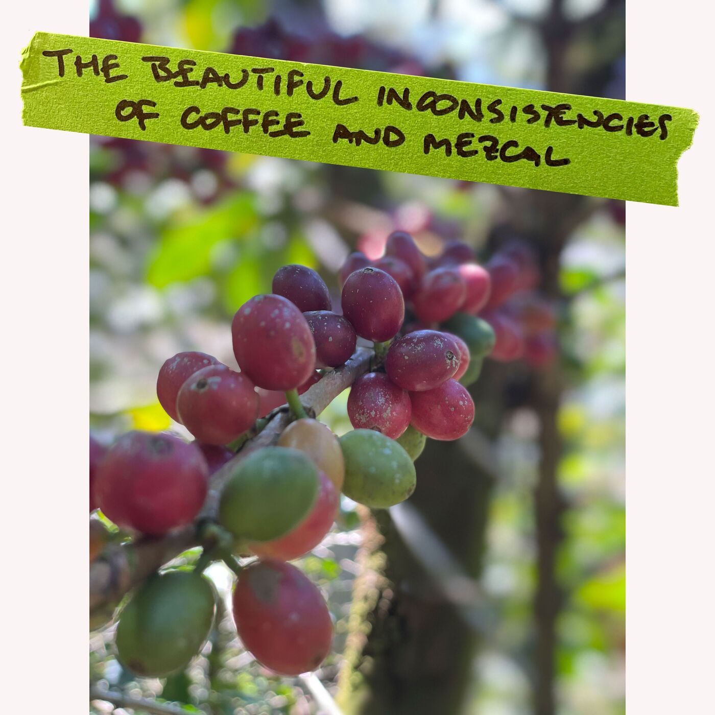 The Beautiful Inconsistencies of Coffee and Mezcal