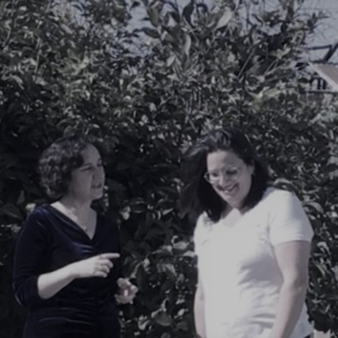 שינויים קוגניטיביים בזיקנה ודמנציה/ אלצהיימר, להכיר ולהבין