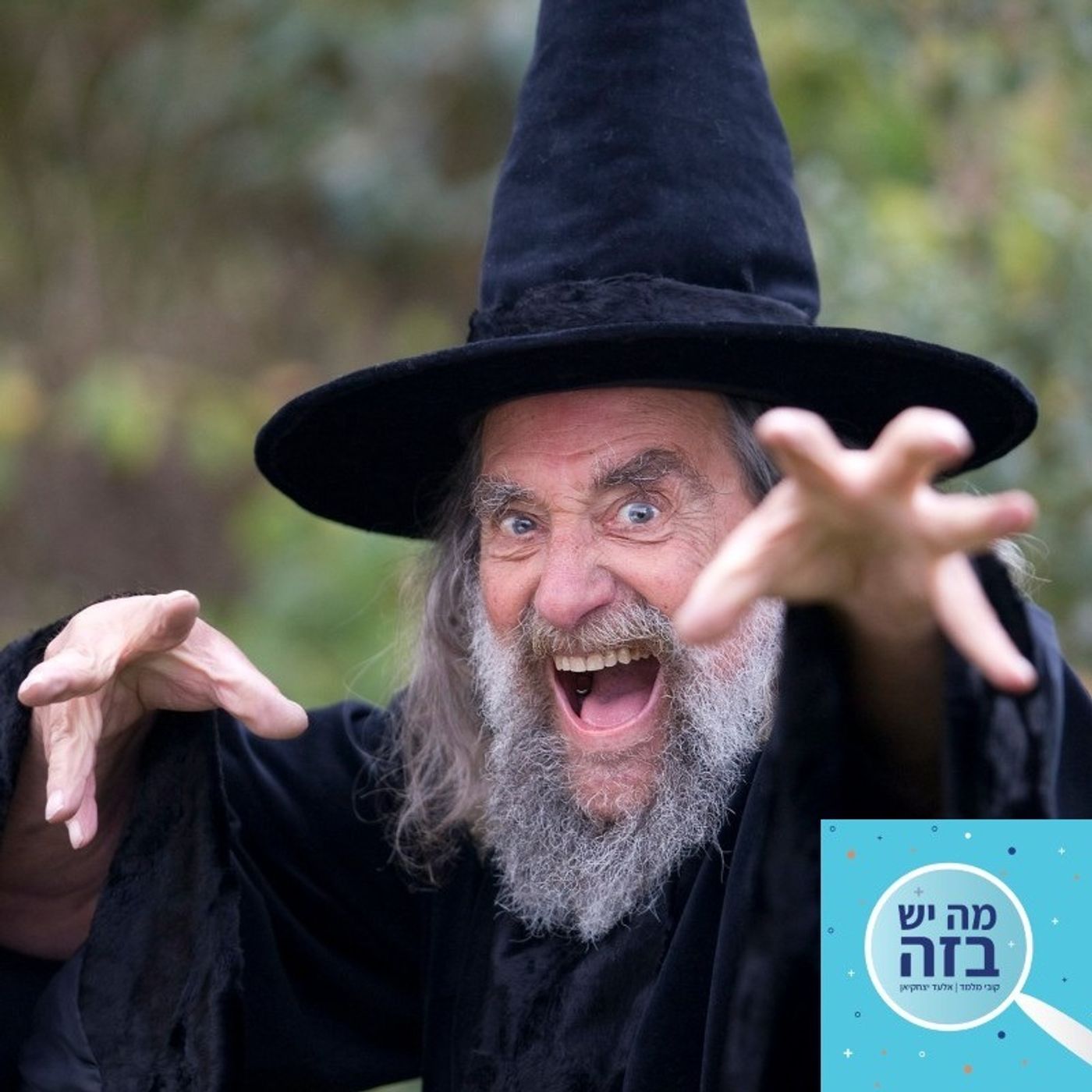 פרק 387 - המכשף הרשמי של ניו זילנד