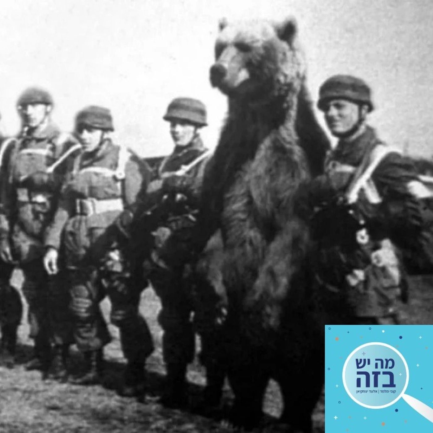 ספיישל מלחמה: מתלוננים על המצב + שאלות מהקהל