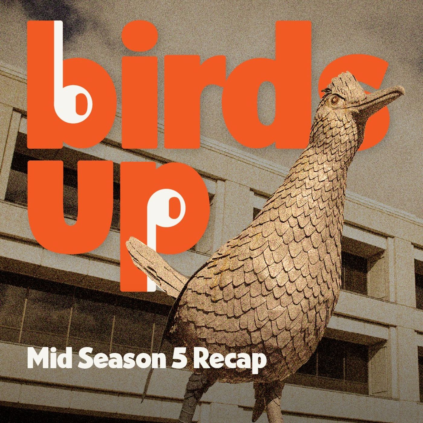 Birds Up Podcast