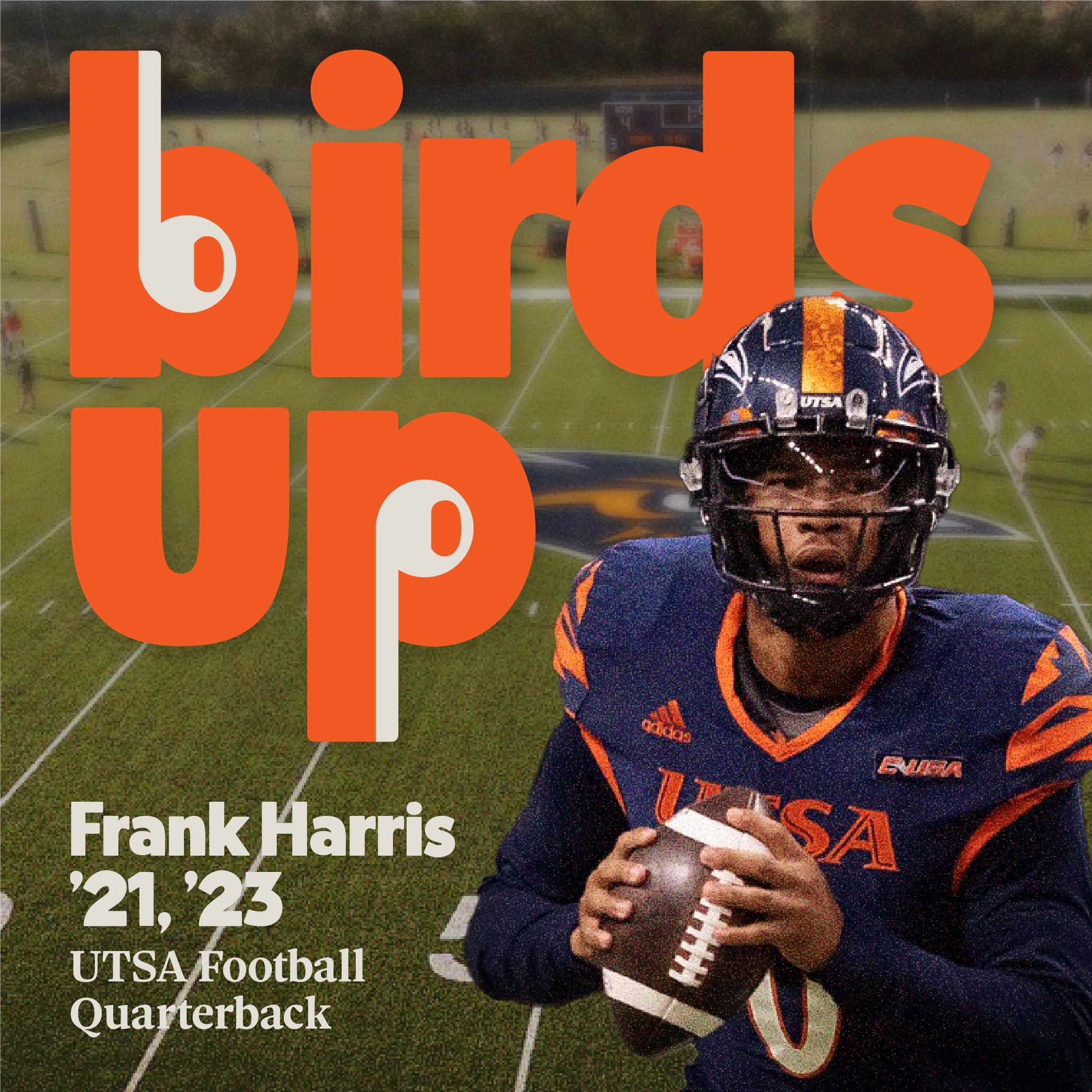 Birds Up Podcast