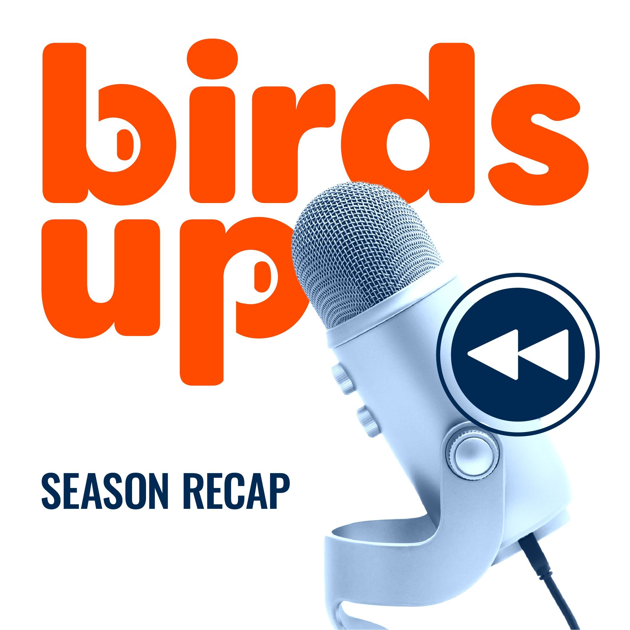 S2E24: EPISODE 50 & Season 2 Wrap Up Episode with the "Birds Up" Podcast Team episode artwork