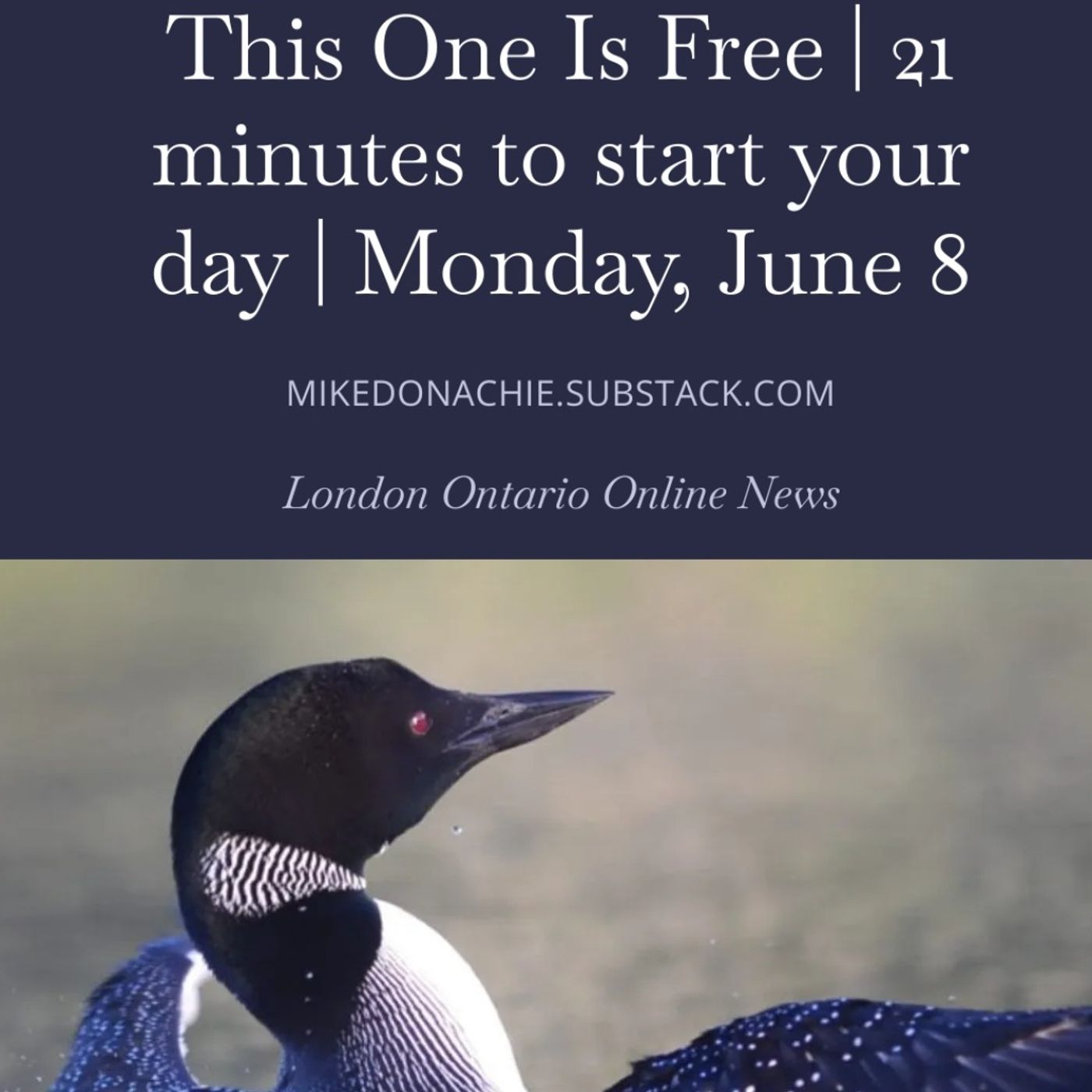 Announcing - London Ontario Online News! Mike Donachie joins "Buckle Up" to tell us all about it.