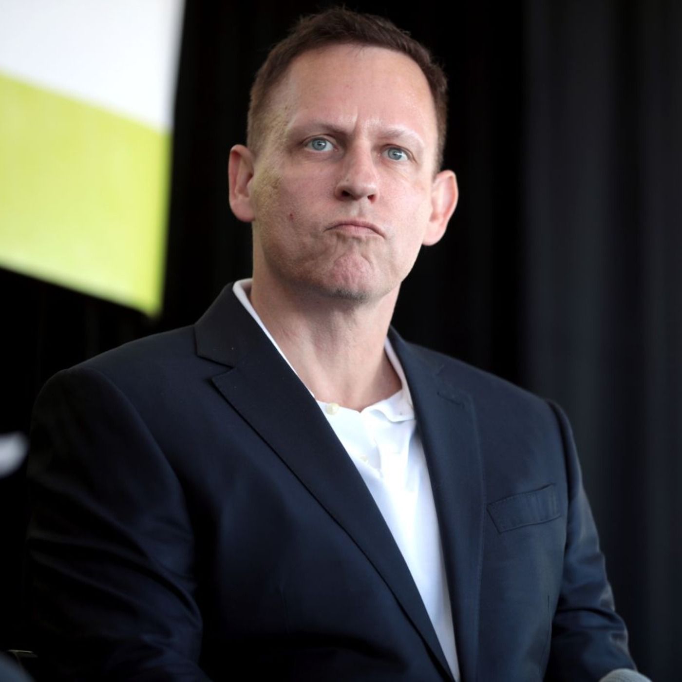 Warum spricht Peter Thiel über die Apokalypse und den Antichrist, Wolfgang Palaver? Warum spricht Peter Thiel über die Apokalypse und den Antichrist, Wolfgang Palaver?