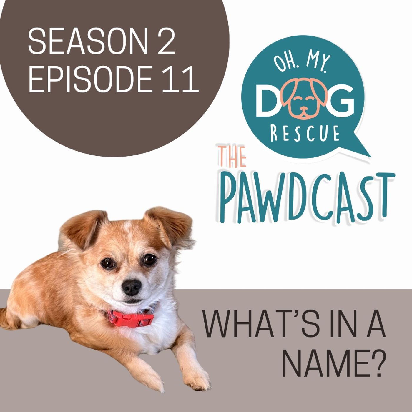 What's in a name? - S2 E11