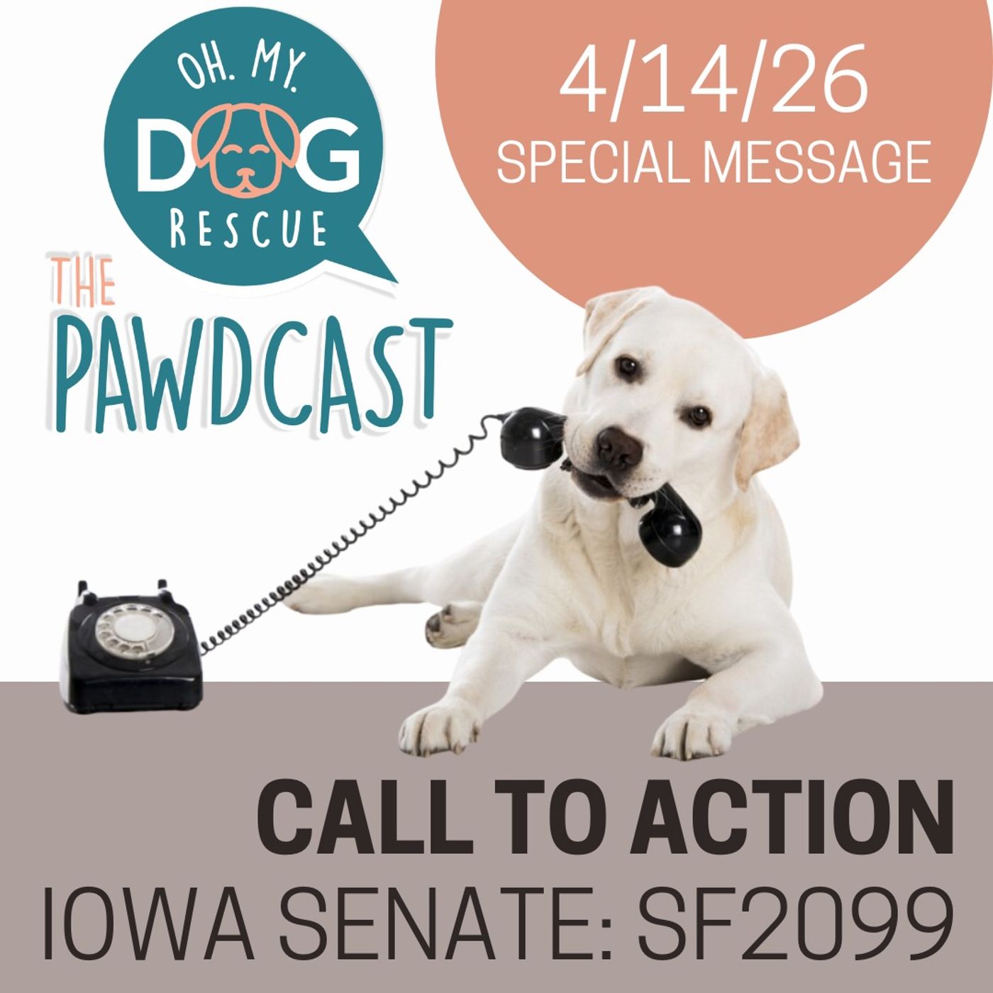 CALL TO ACTION IOWA SENATE: SF2099 - Special Message 4.14.26