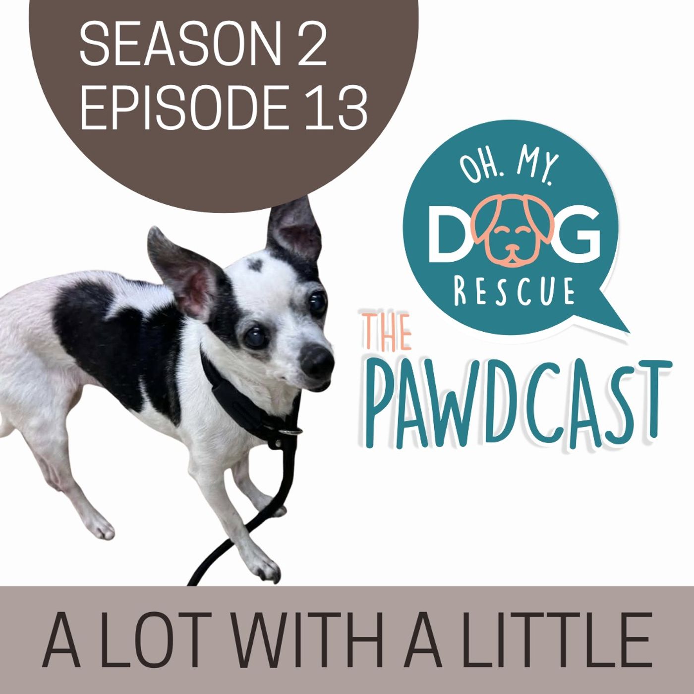 A Lot with a Little - S2 E13