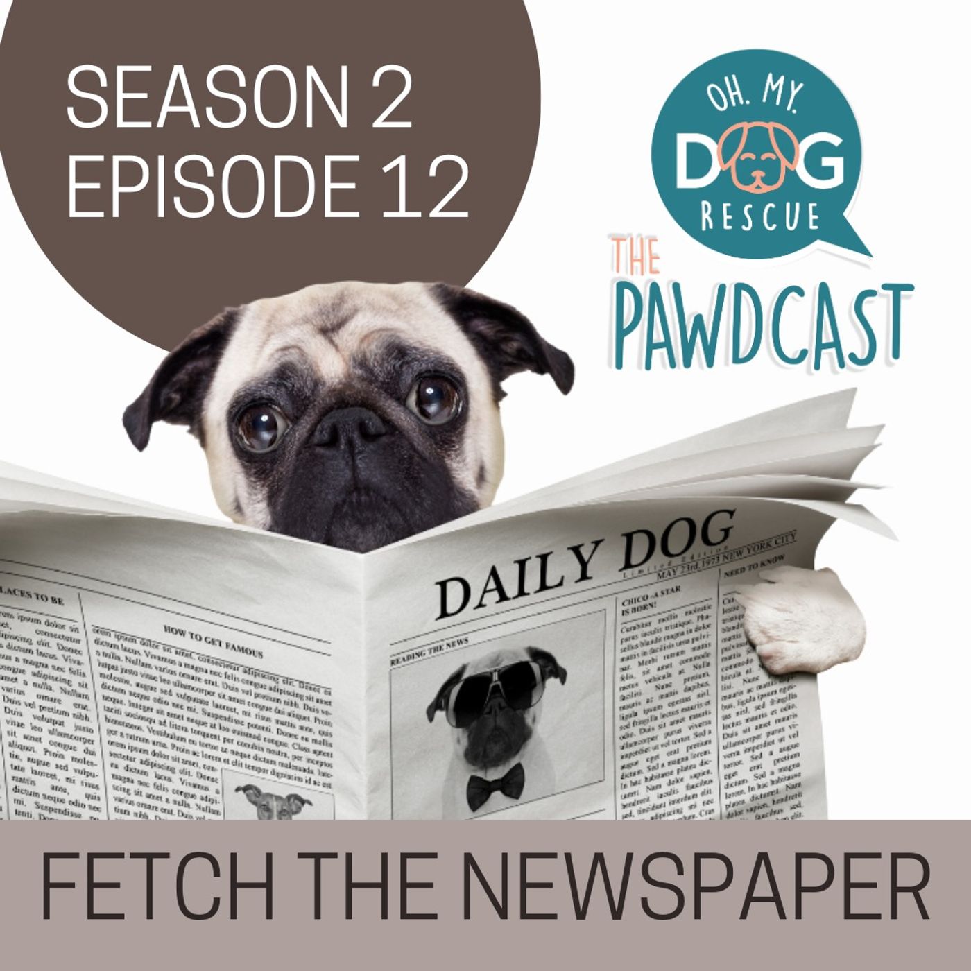 Fetch the Newspaper - S2 E12
