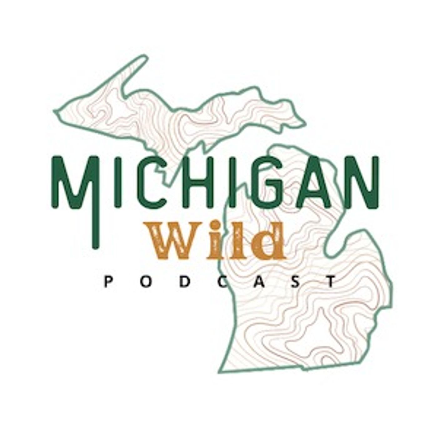 Michigan Wild - River Fishing with Tony Fellows episode artwork