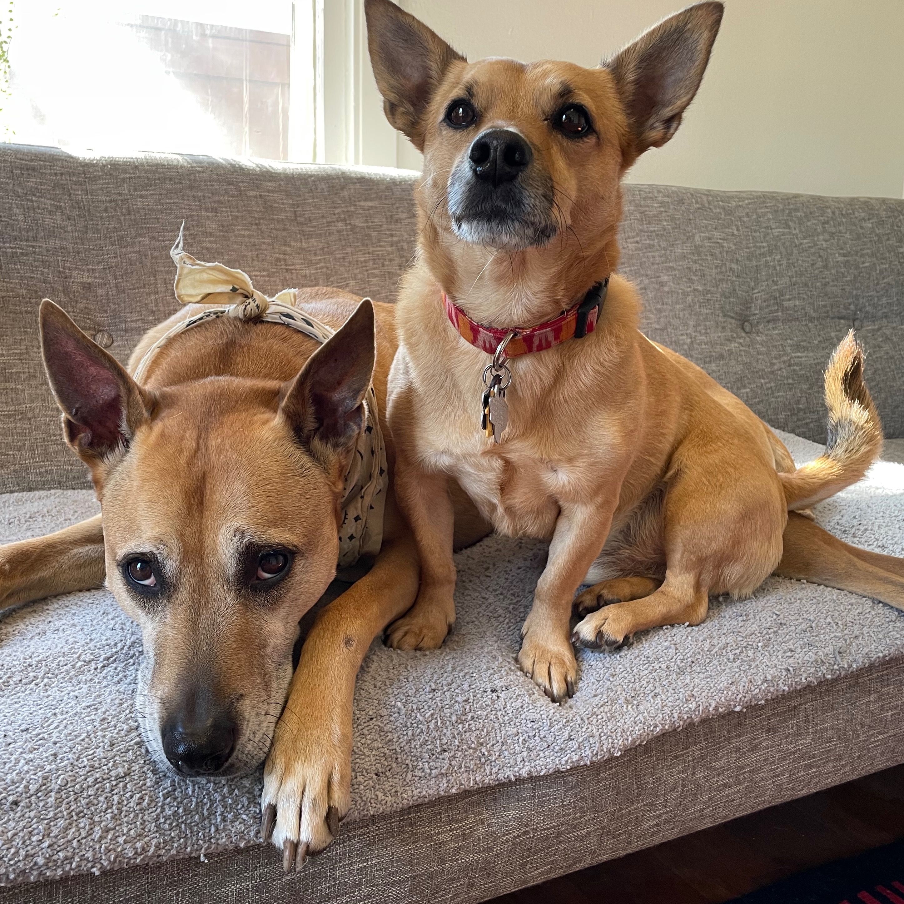 SXM INTERNAL TEST SHOW (DO NOT BOOK)