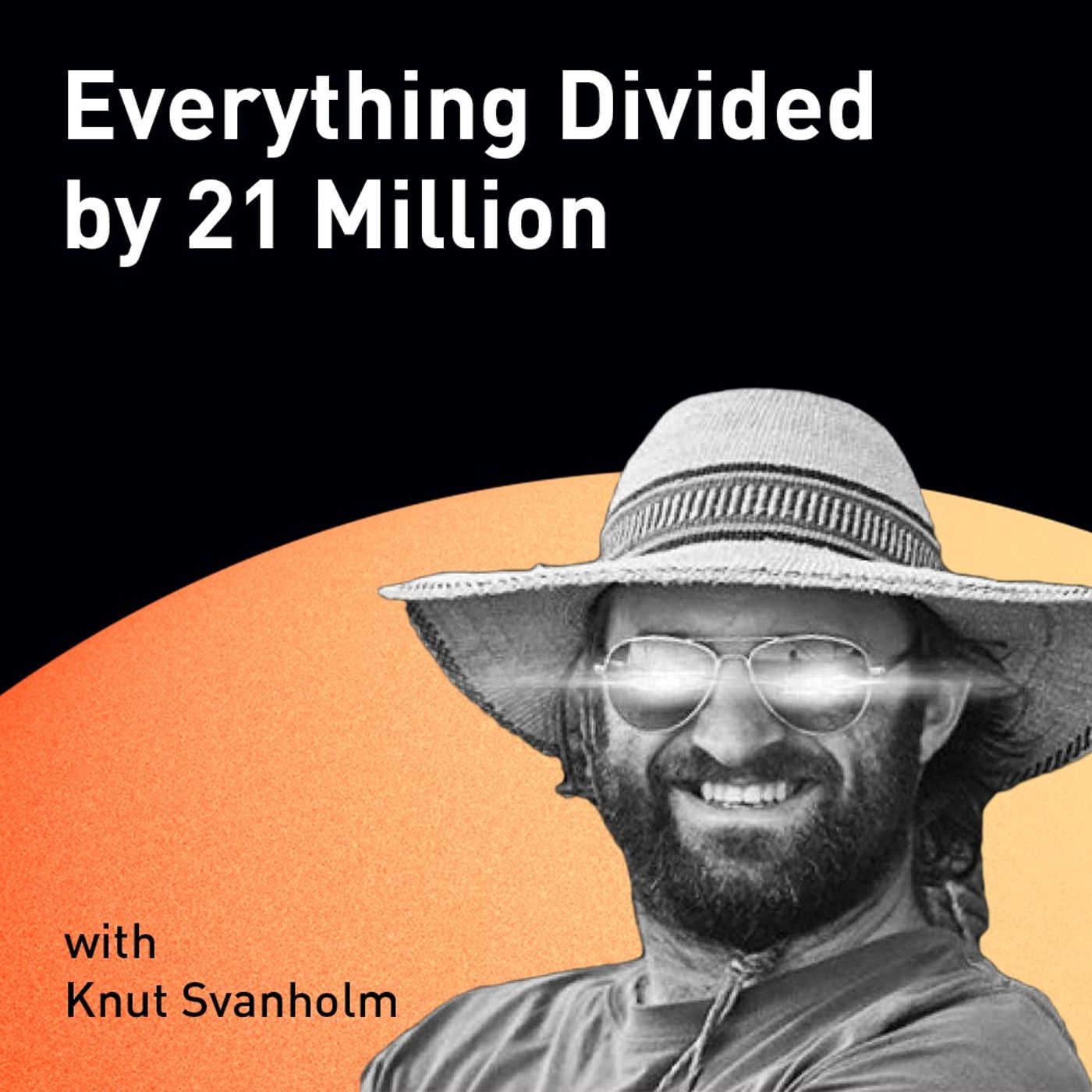 Everything Divided by 21 Million with Knut Svanholm (WiM211)