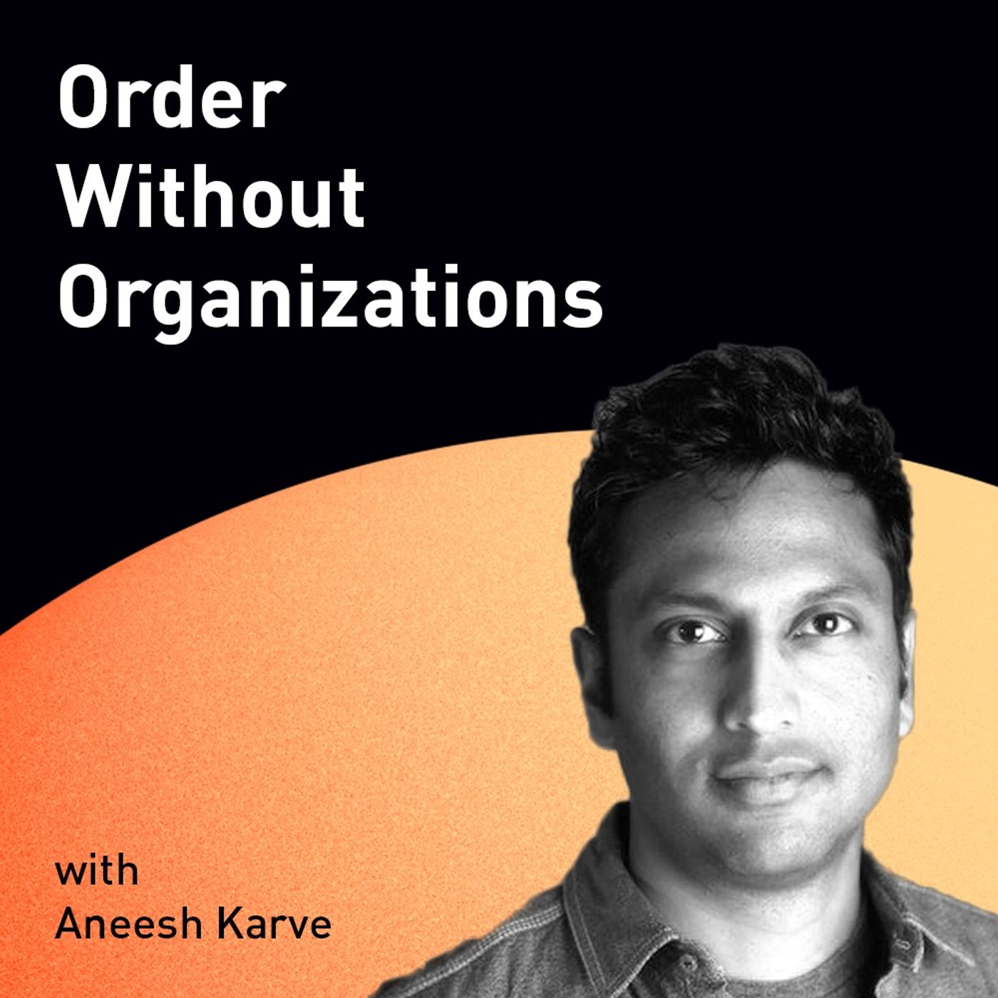 Order Without Organizations with Aneesh Karve (WiM141)