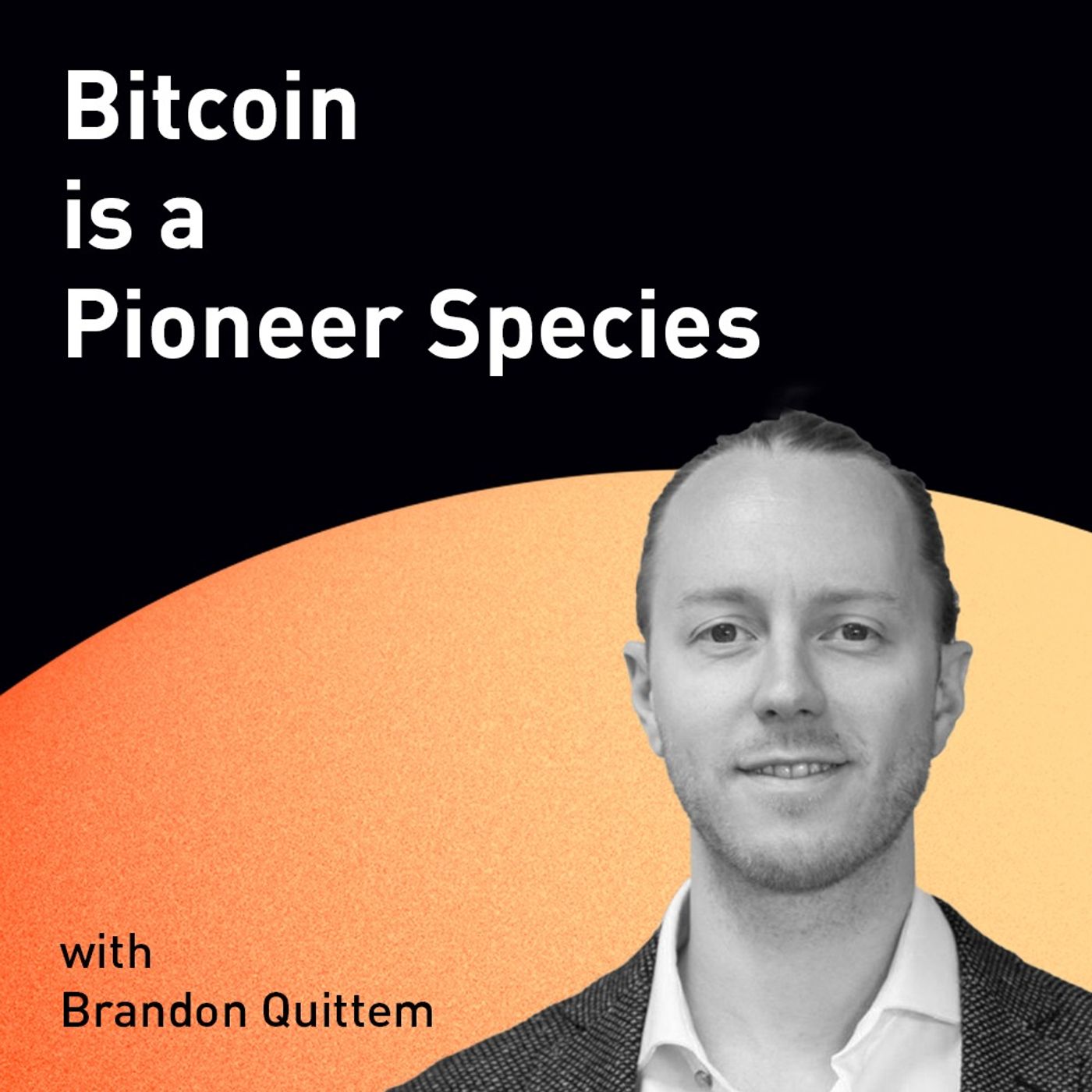 Bitcoin is a Pioneer Species with Brandon Quittem (WiM161)