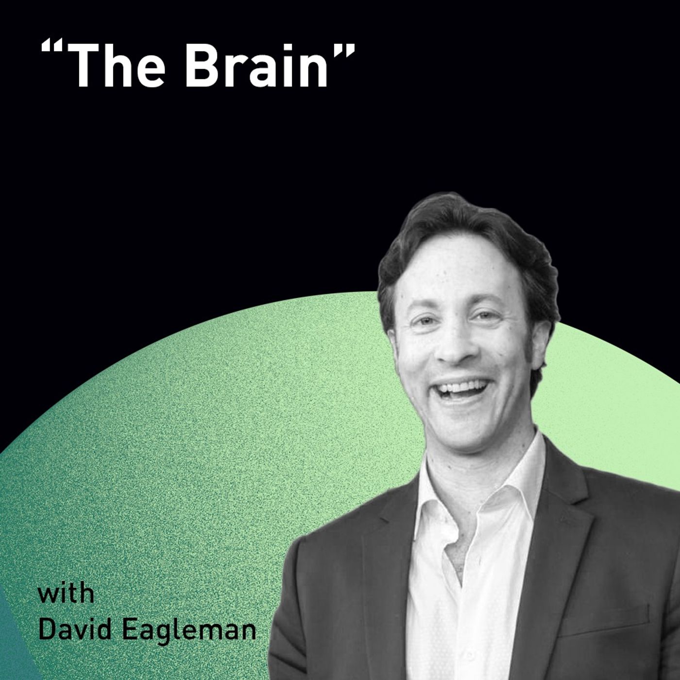 "The Brain" with David Eagleman (WiM132)