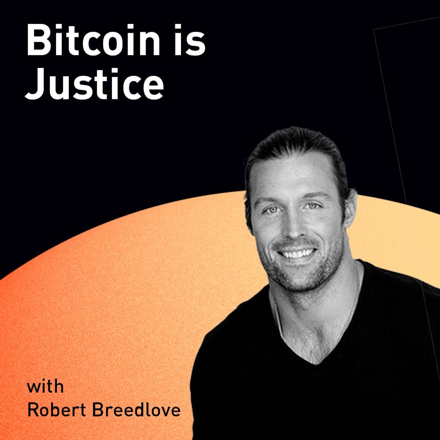 Bitcoin is Justice with Robert Breedlove (WiM253)