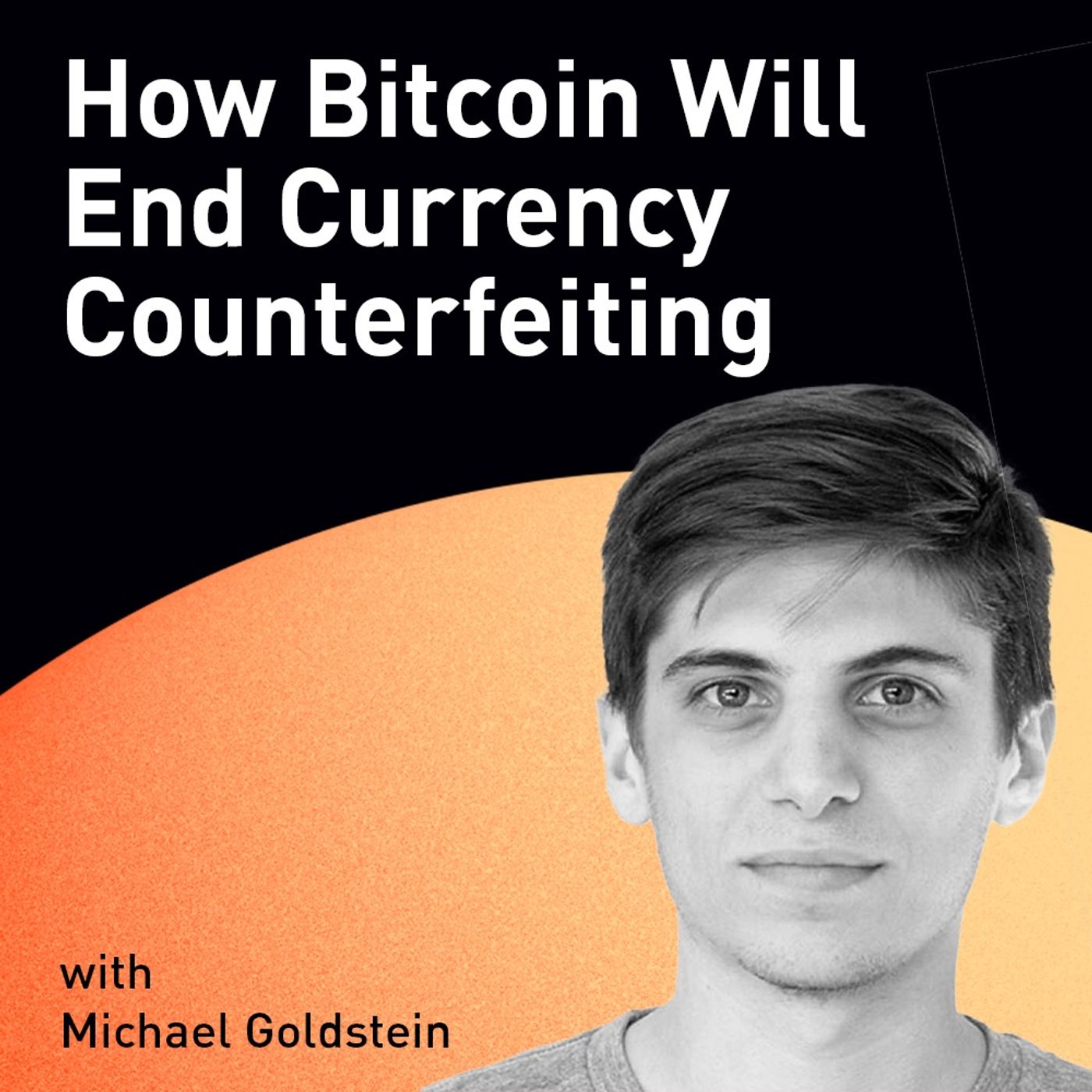 How Bitcoin Will End Currency Counterfeiting with Michael Goldstein (WiM252)