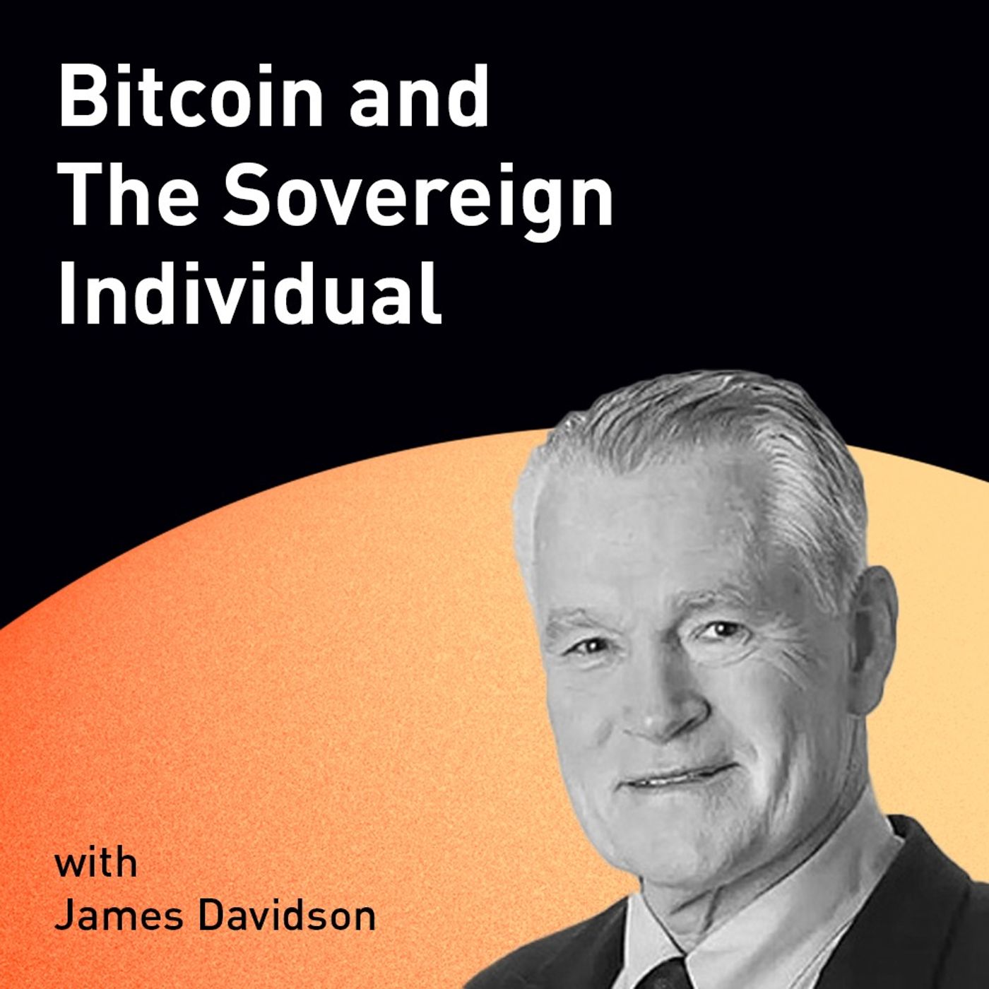 Bitcoin and The Sovereign Individual with James Davidson (WiM162)