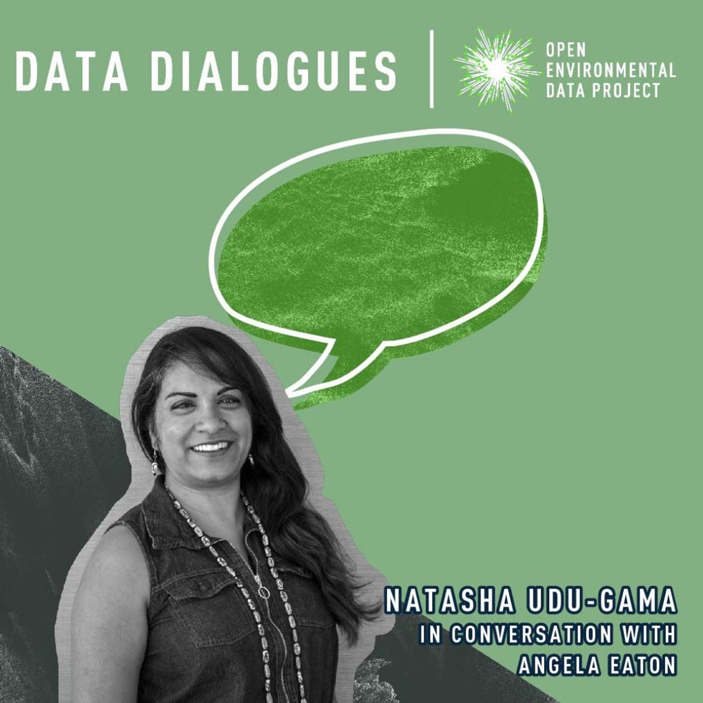 16. Is "more data" the relevant question?