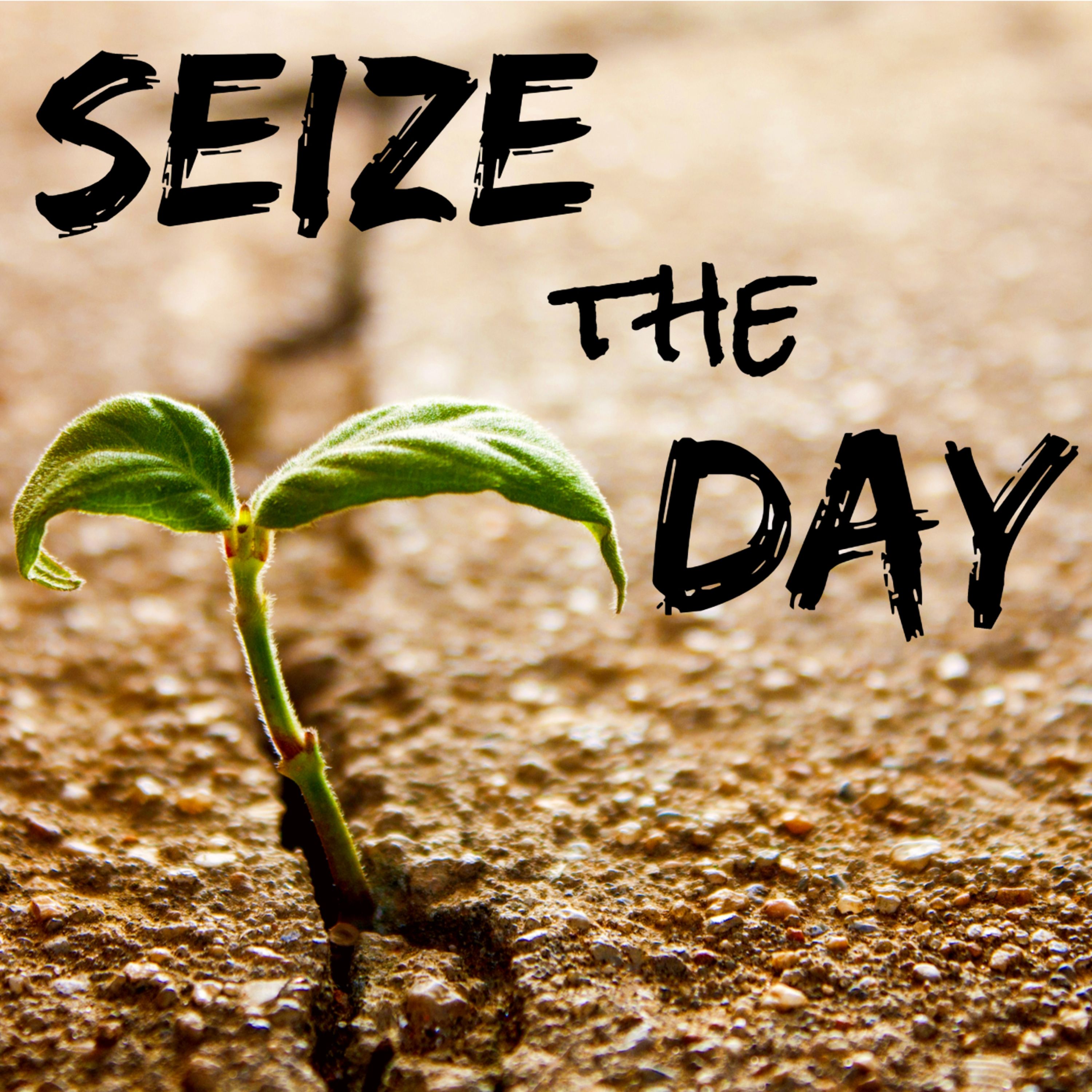 Seize the Day