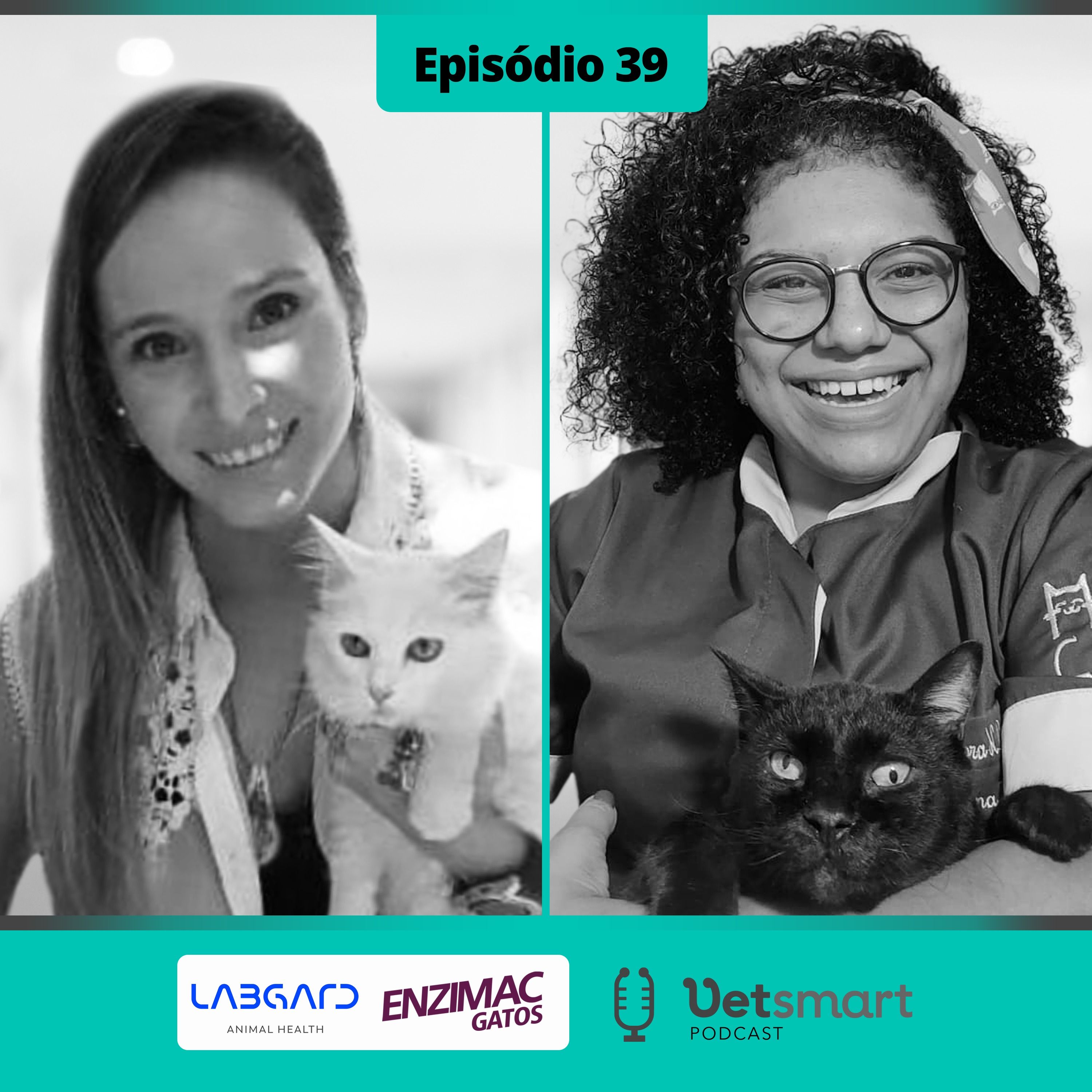 Vet Smart Podcast