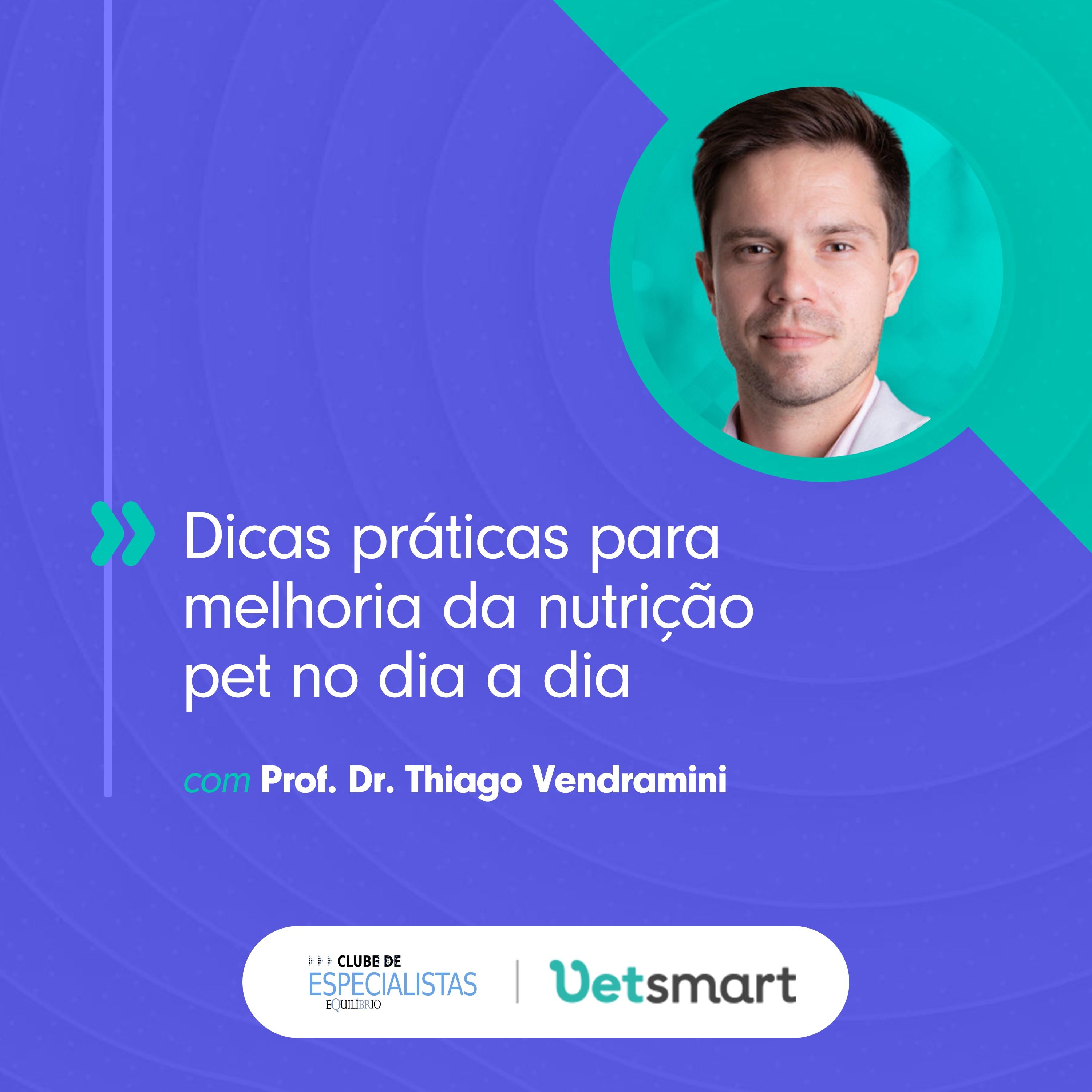 Dicas práticas para melhoria da nutrição pet no dia a dia