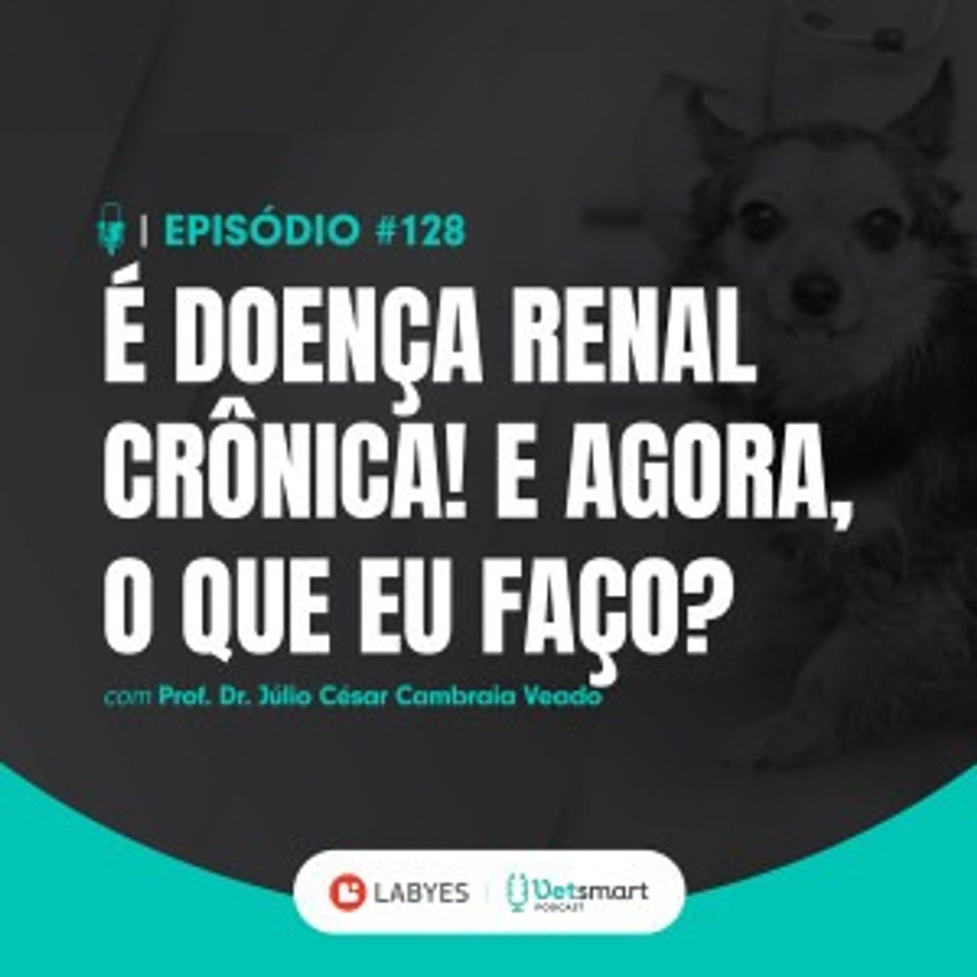É doença renal crônica! E agora, o que eu faço?