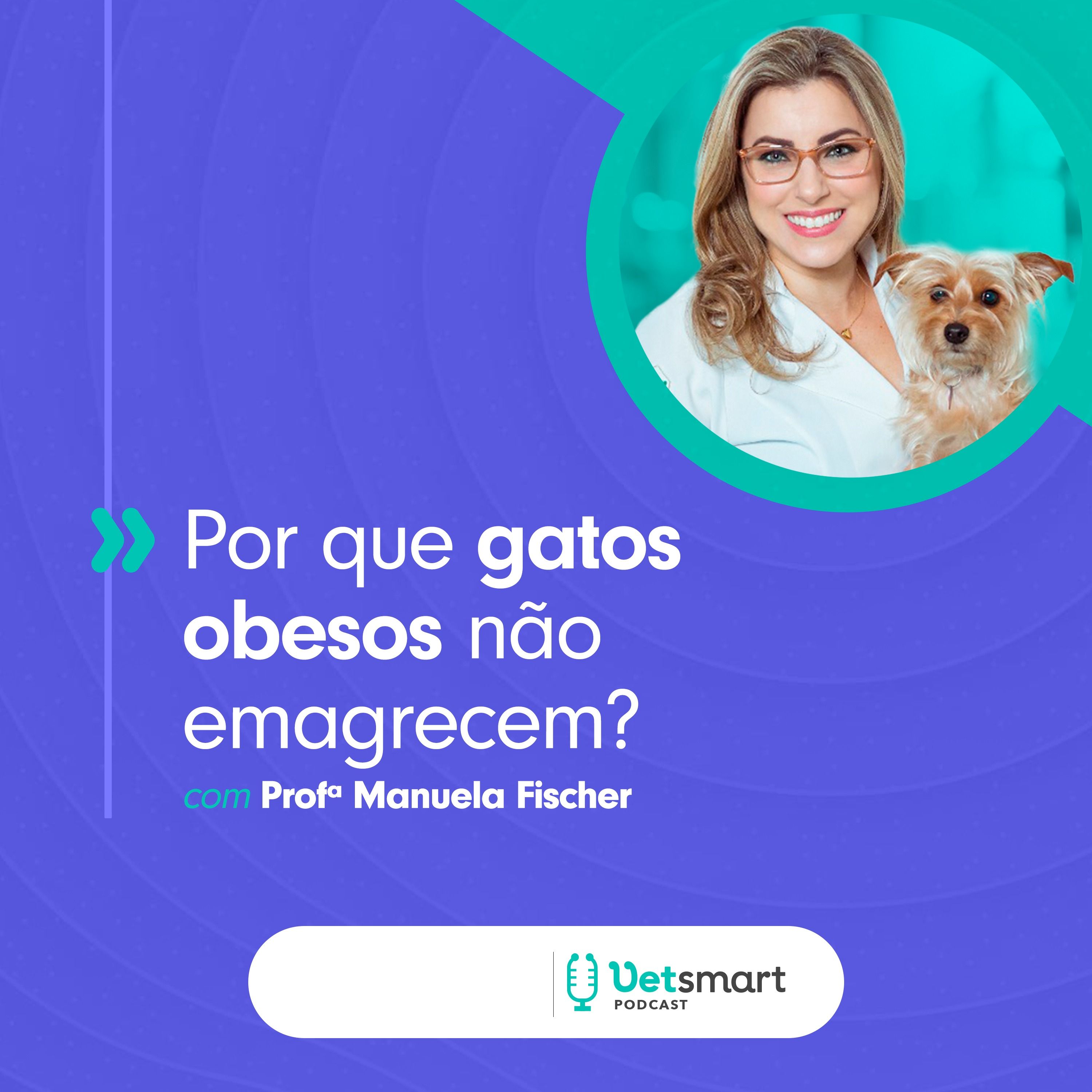 Por que gatos obesos não emagrecem?
