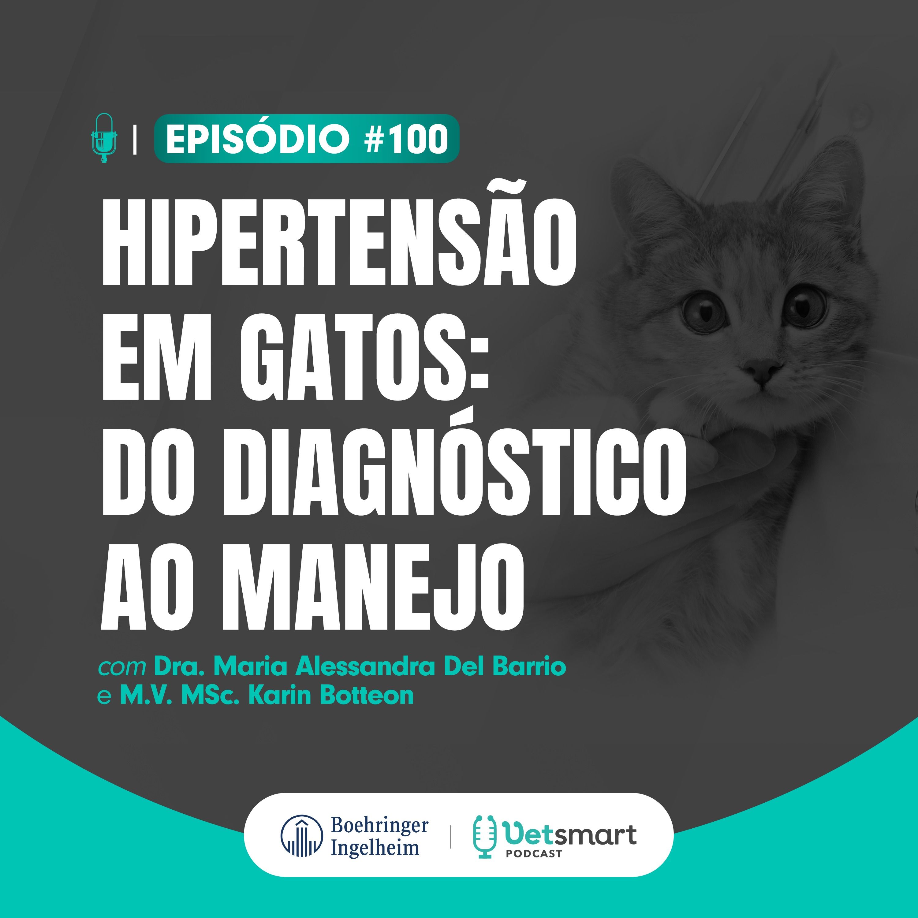 Vet Smart Podcast