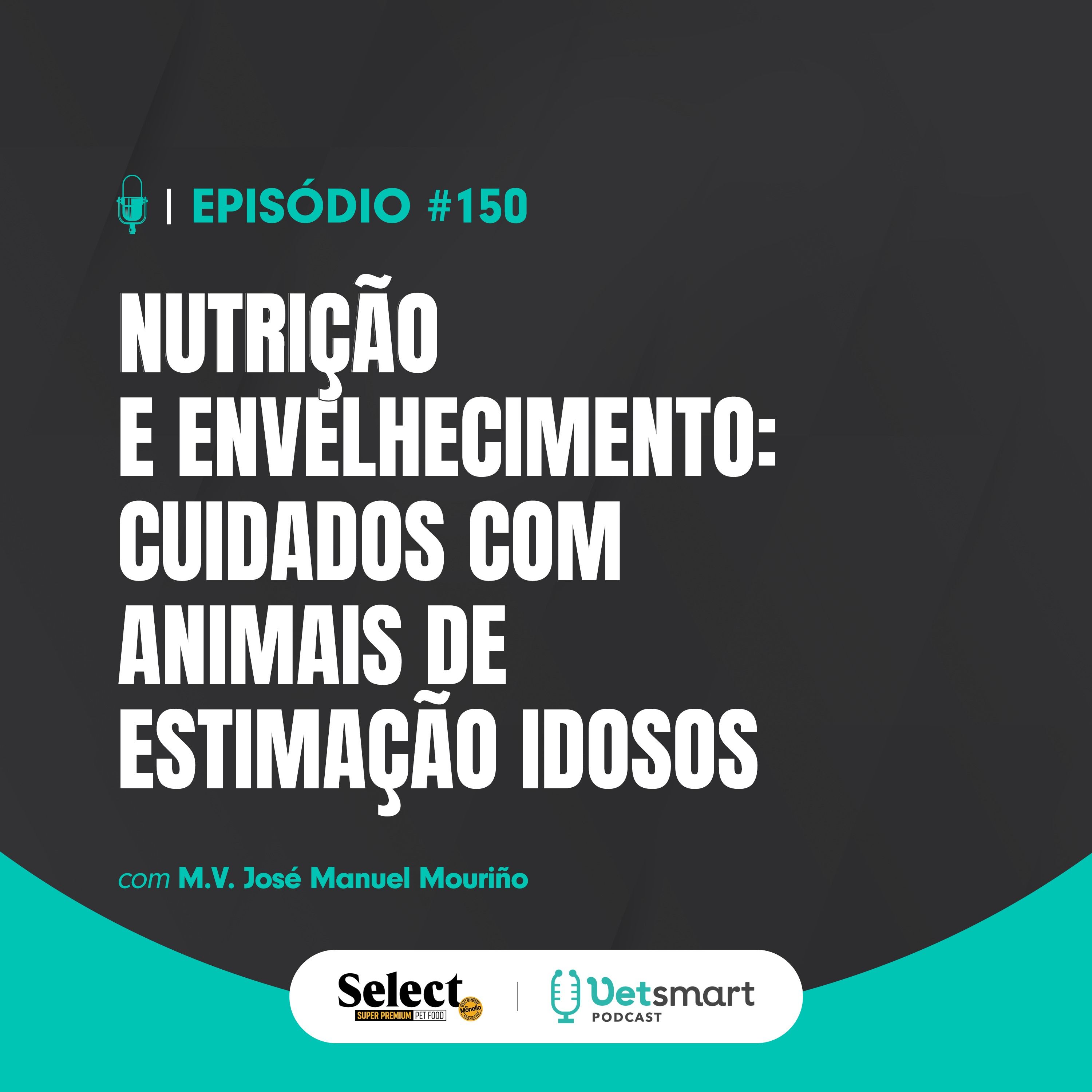 Nutrição e Envelhecimento: cuidados com animais de estimação idosos