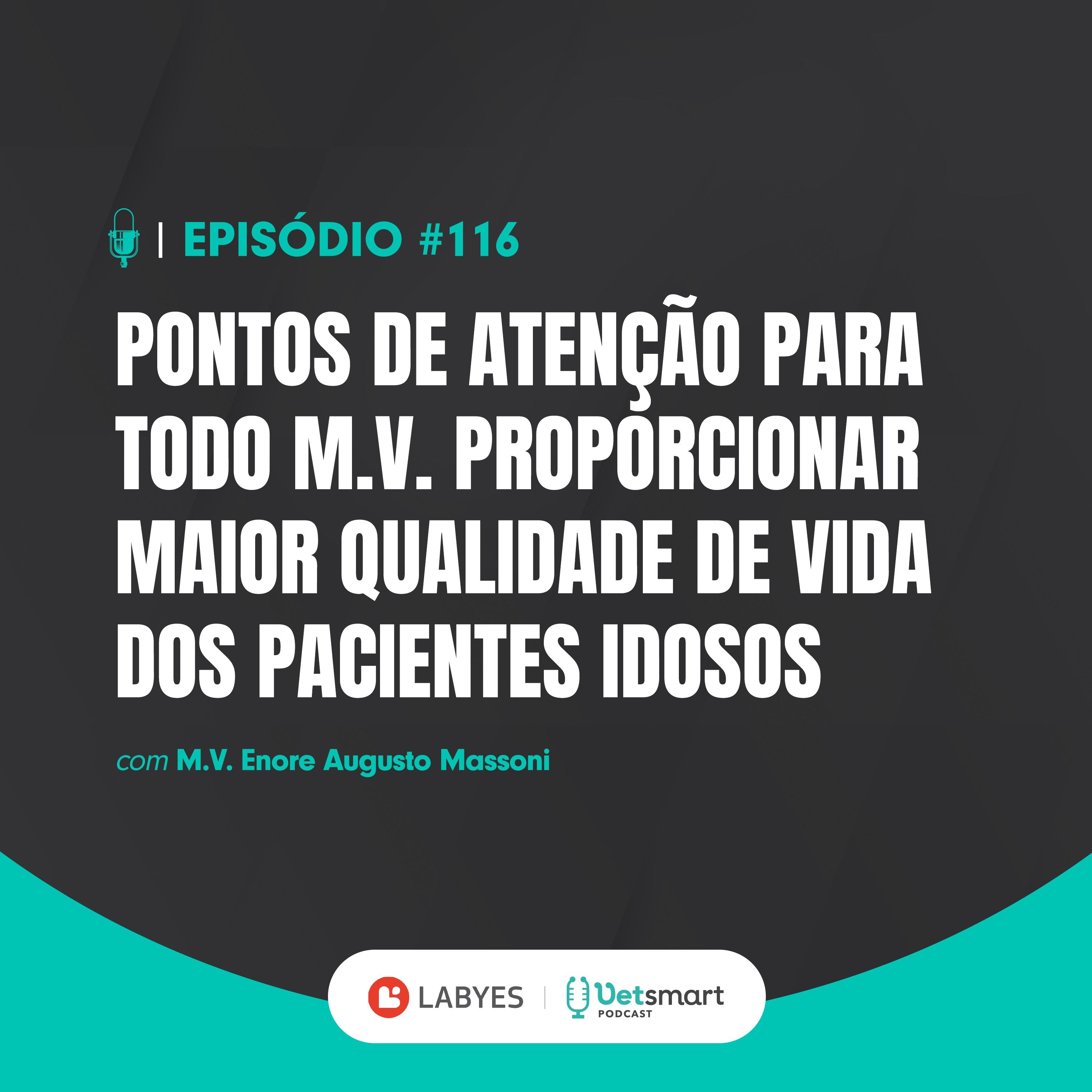 Pontos de atenção para todo MV proporcionar maior qualidade de vida dos pacientes idosos
