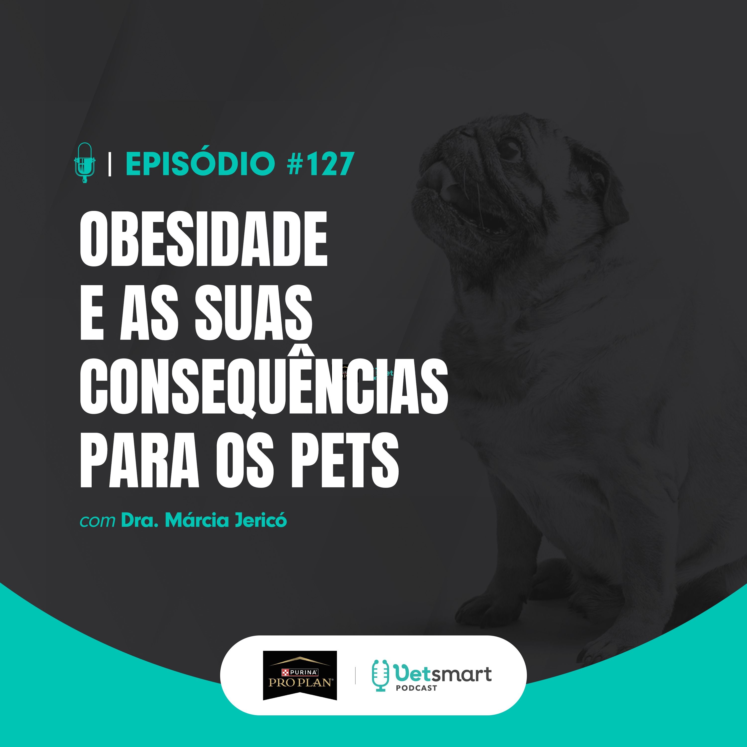 Obesidade e as suas consequências para os pets
